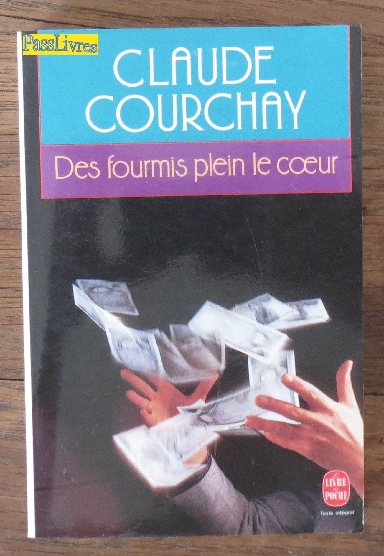 Des fourmis plein le coeur 9782253058236