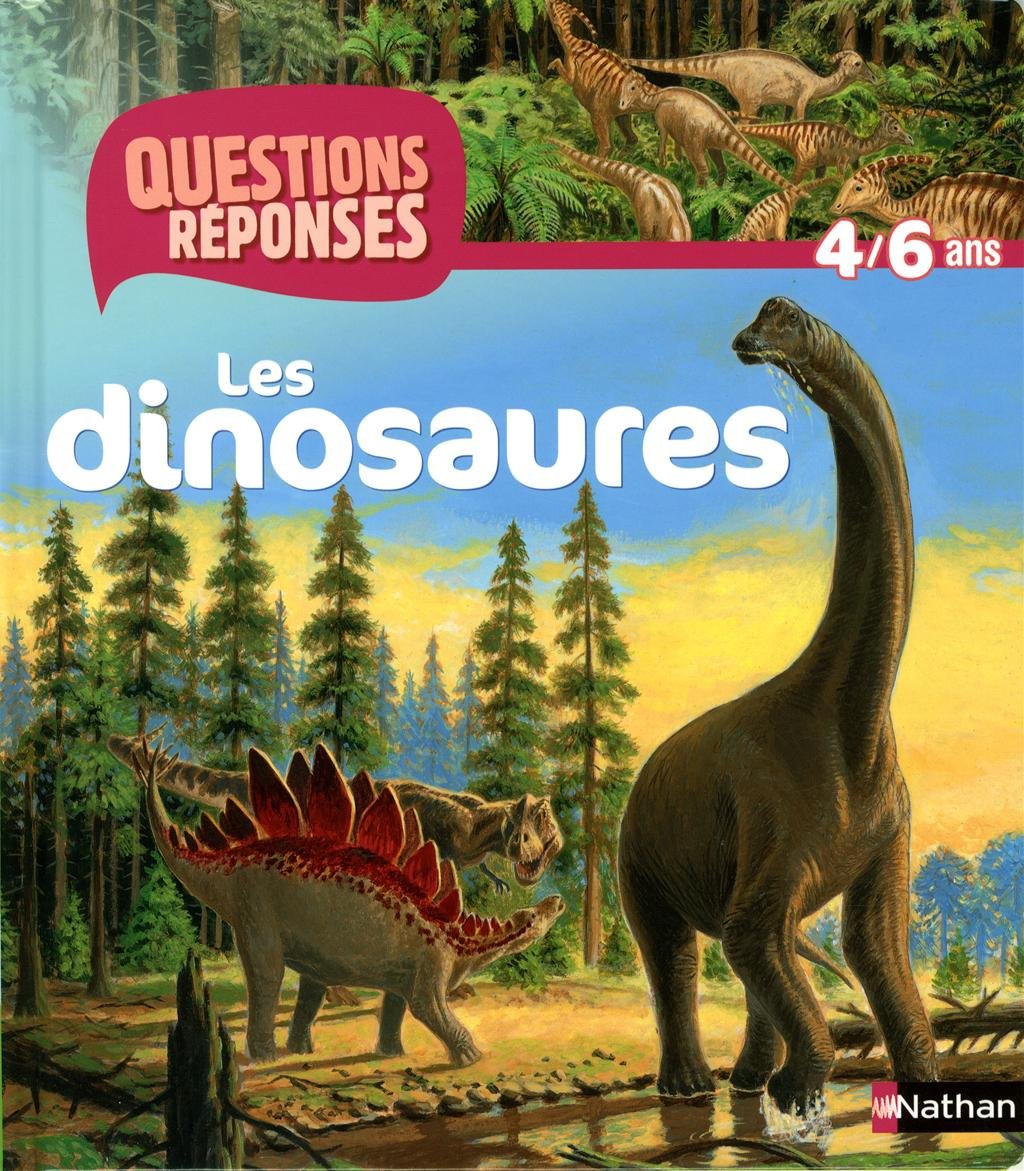 N06 - DINOSAURES 9782092533000