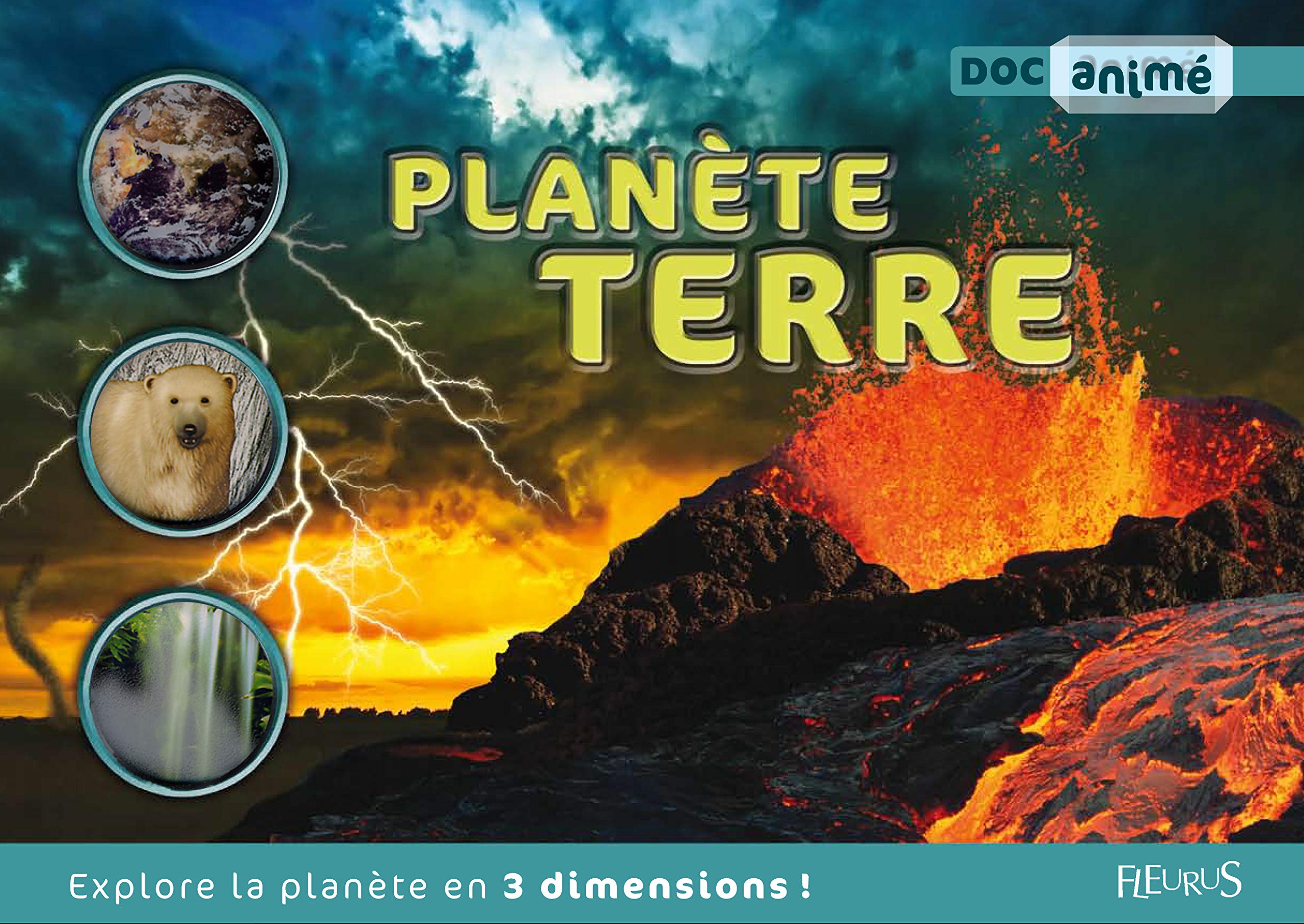 Planète Terre 9782215100300