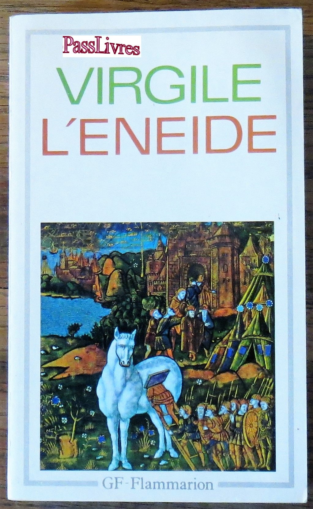 L'eneide 9782080700513