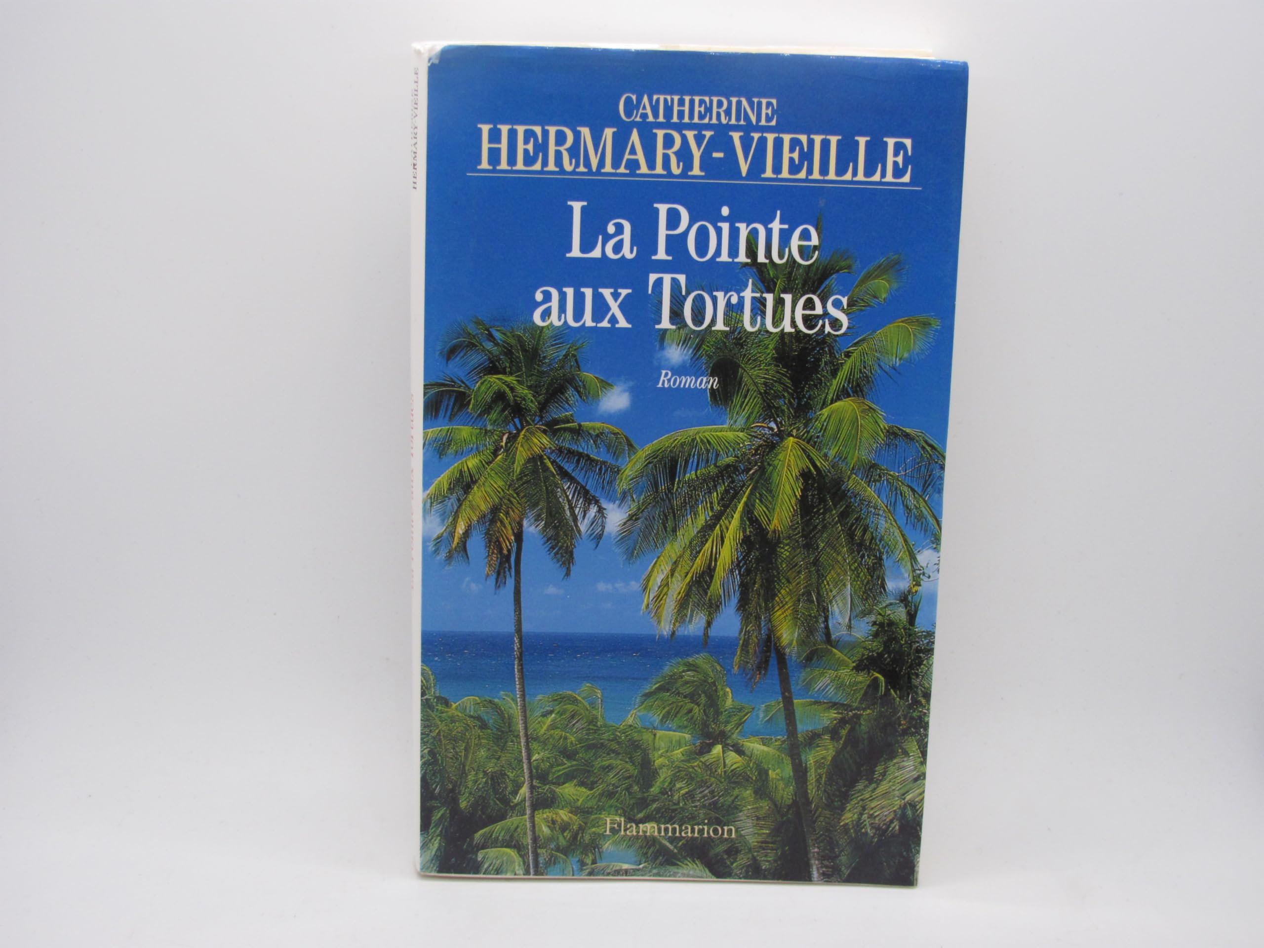 La Pointe aux Tortues 9782080666499