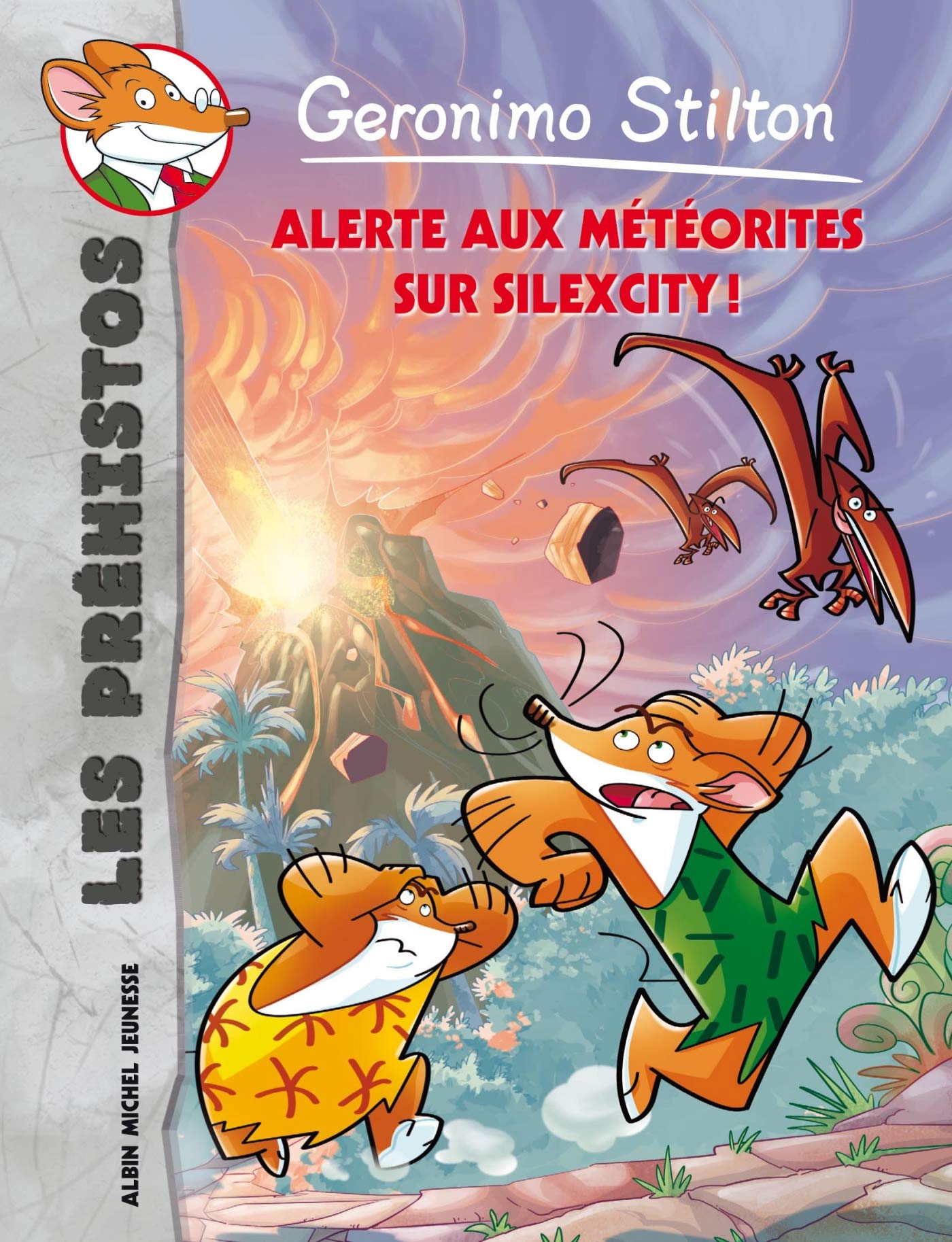 Alerte aux météorites sur Silexcity ! 9782226247254