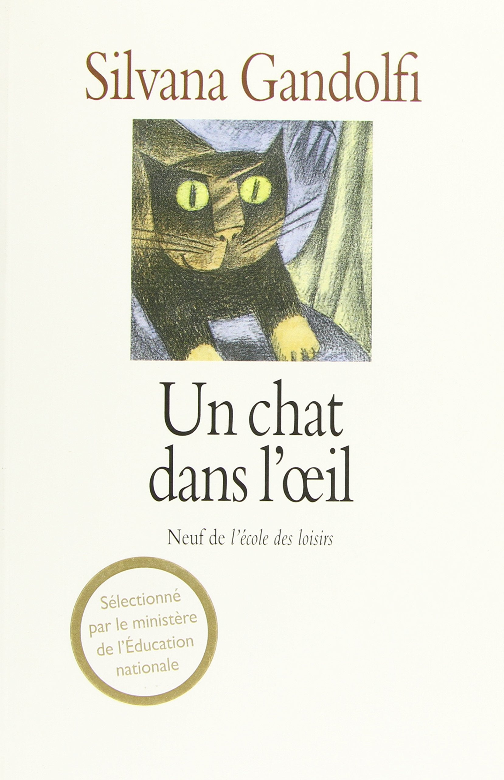 Un chat dans l'oeil 9782211041522