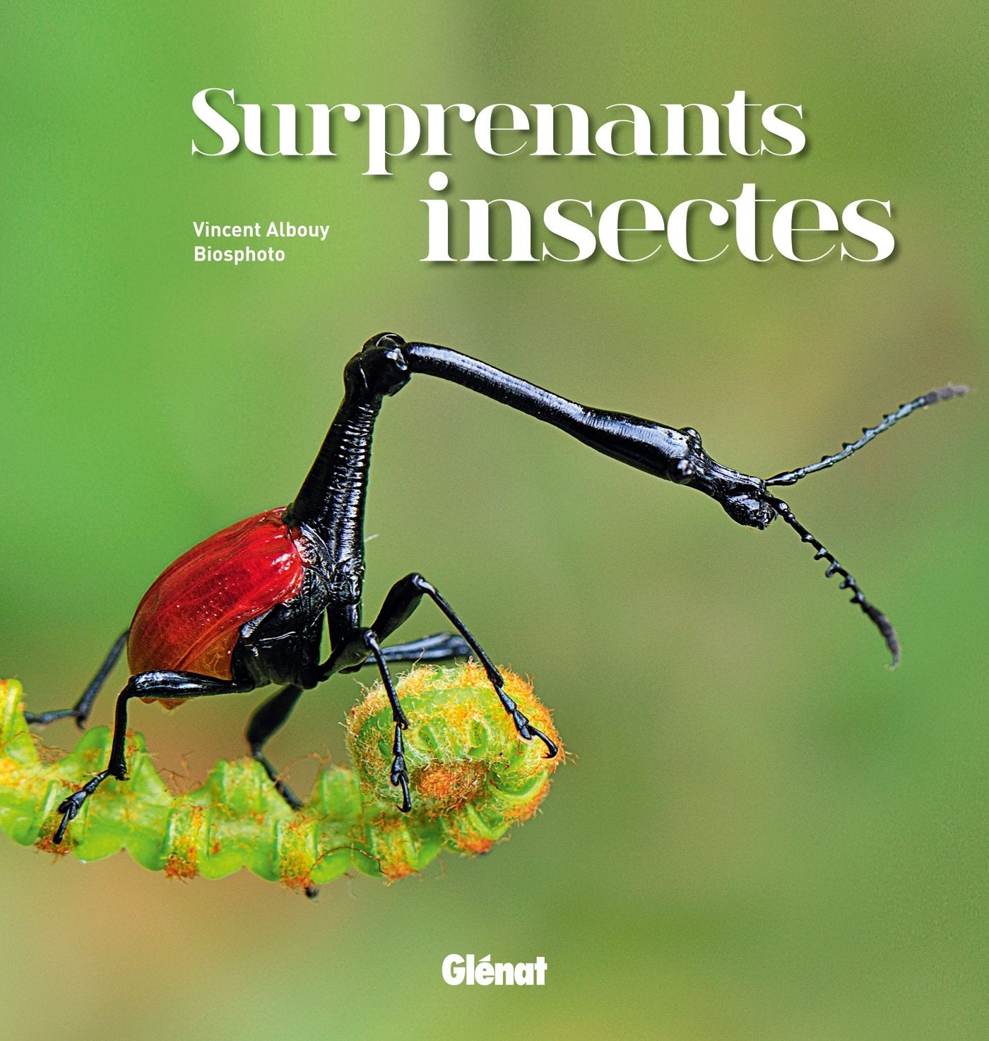 Surprenants insectes 9782723497459