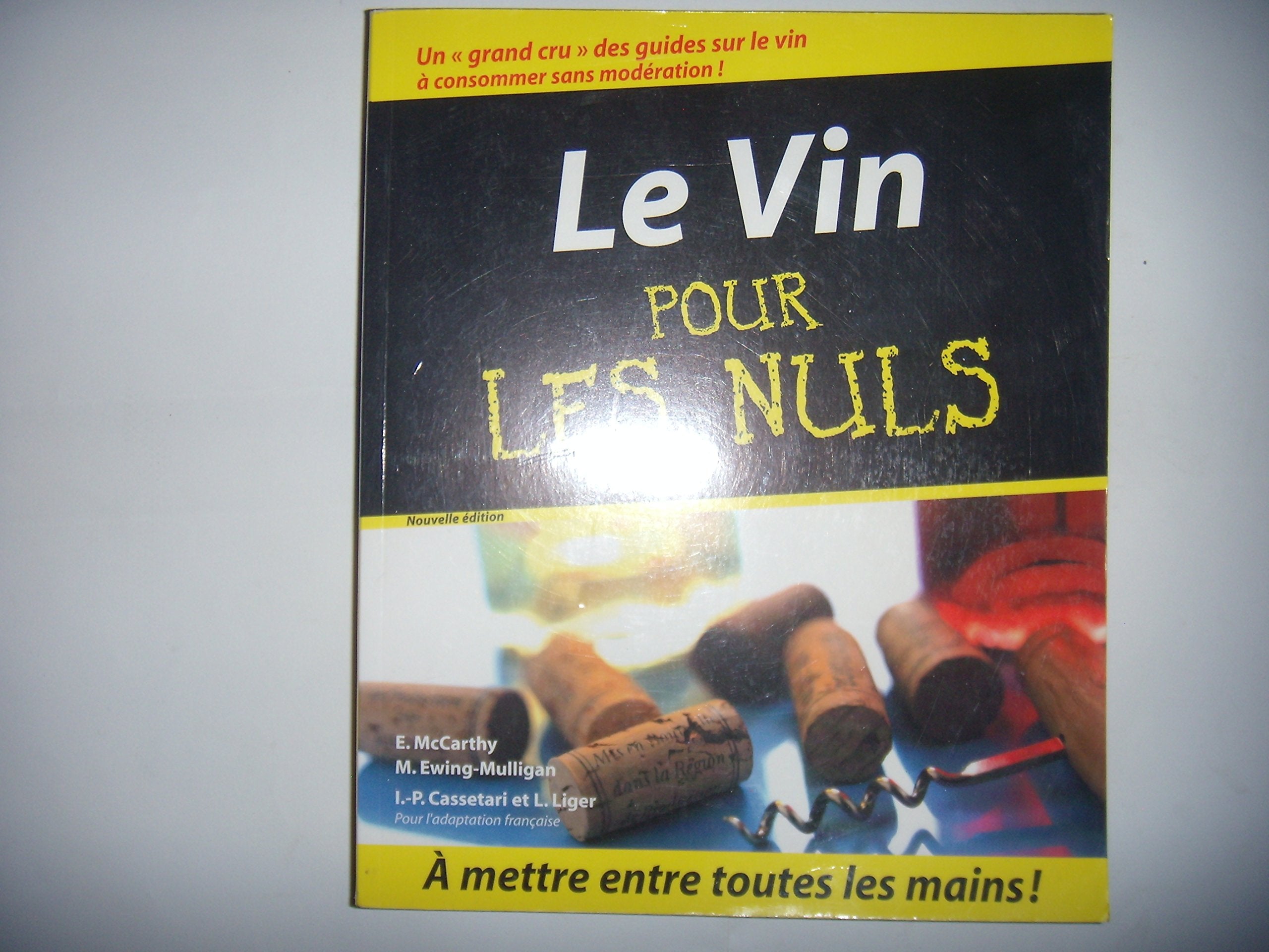 Le Vin pour les nuls 9782876919433