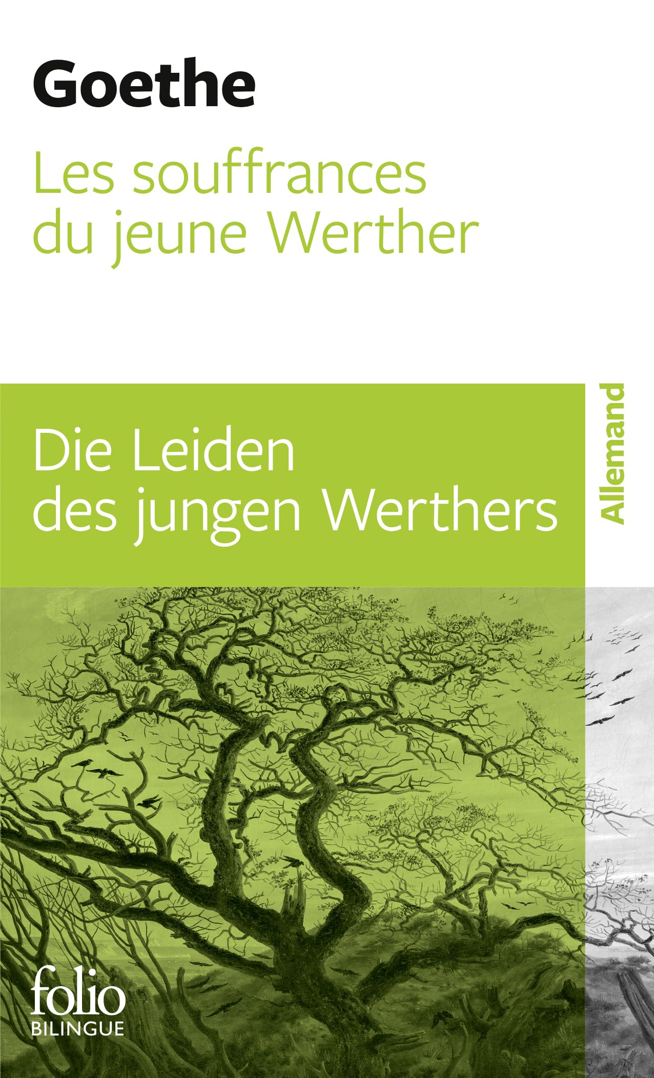 Les souffrances du jeune Werther/Die Leiden des jungen Werther 9782070382699