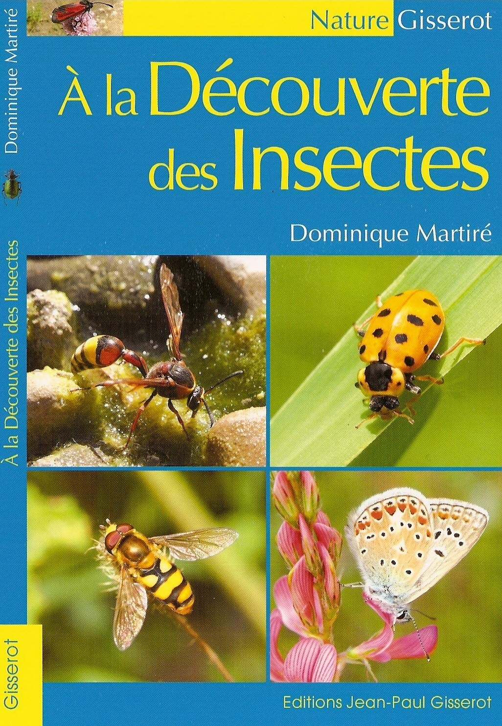 A la découverte des Insectes 9782755802665