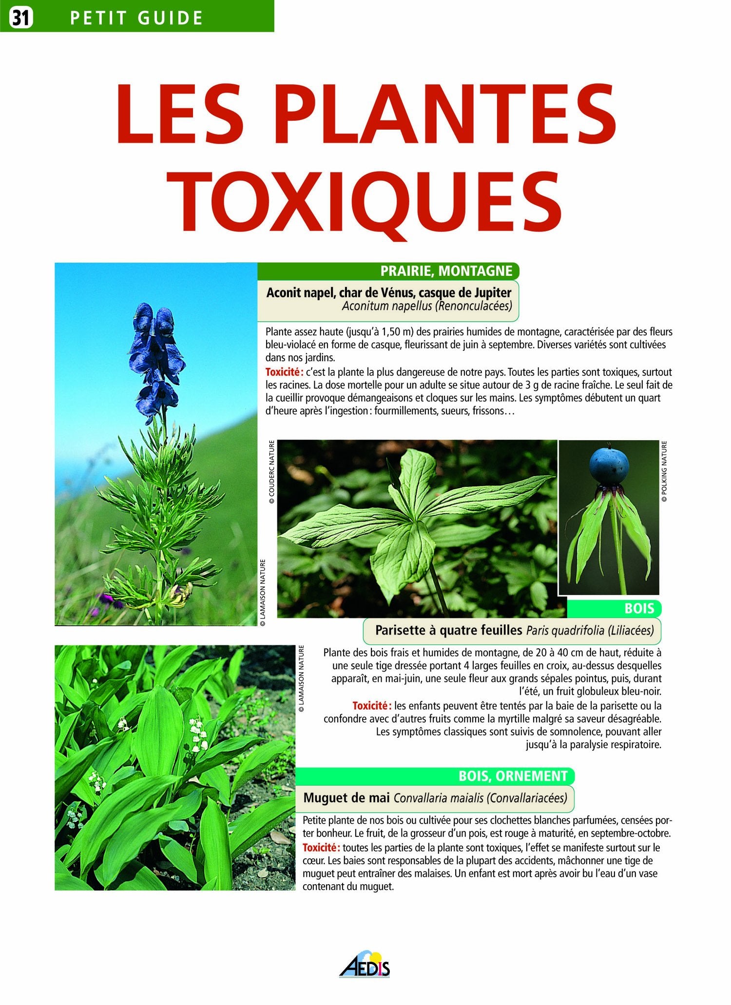 PG031 - Les plantes toxiques 9782842590420