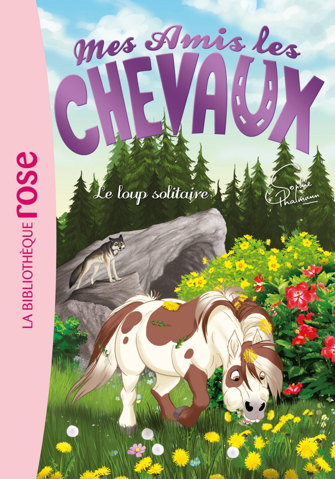 Mes amis les chevaux, tome 8 : Le loup solitaire 9782014018325