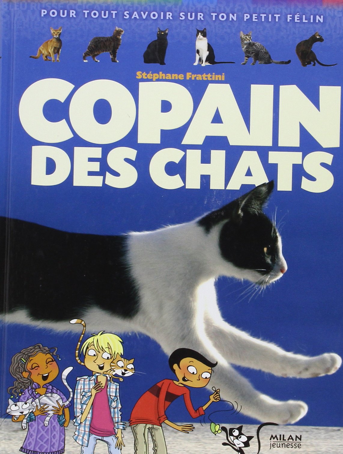 Copain des chats: Pour tout savoir sur ton petit félin 9782745941985