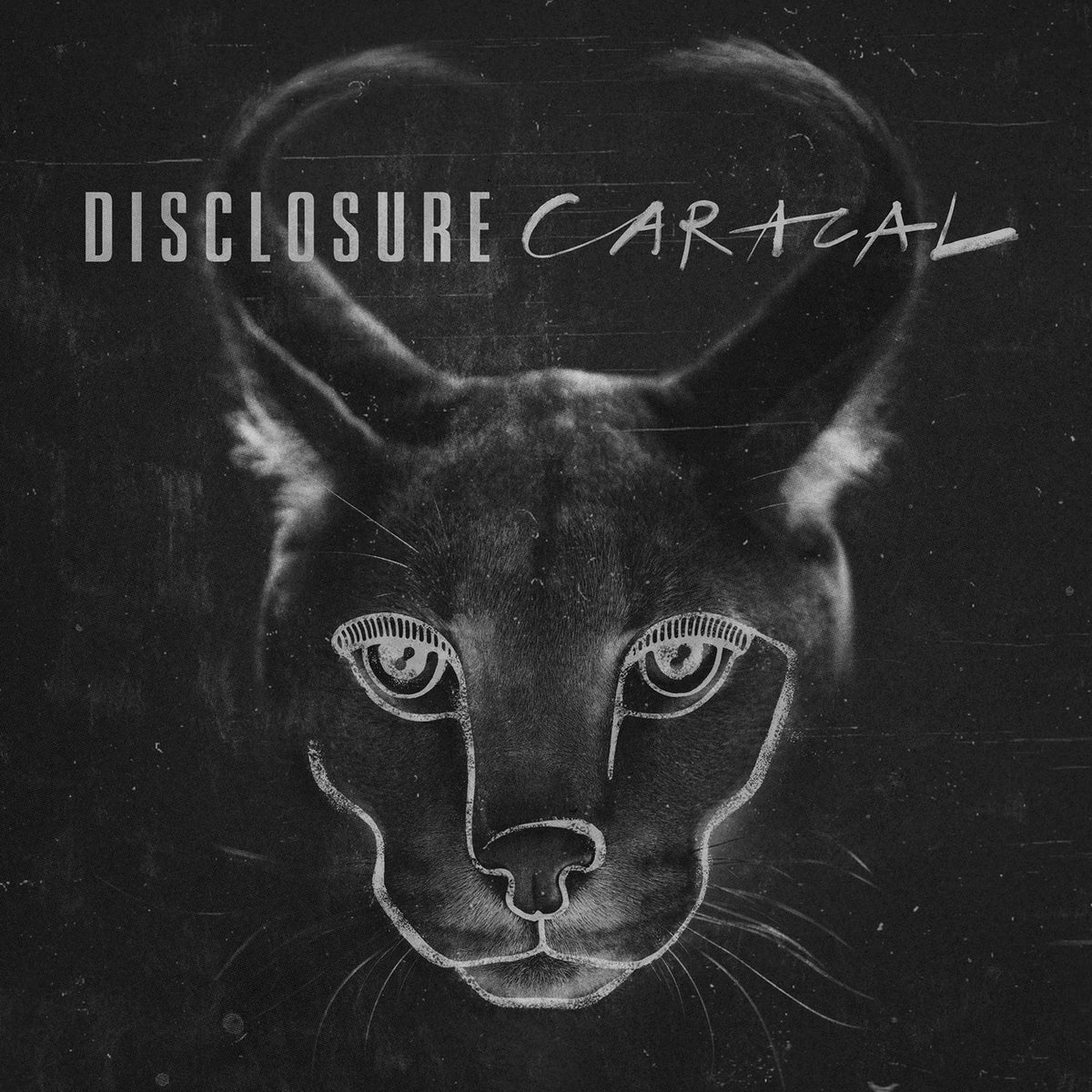 Caracal 9786316219435