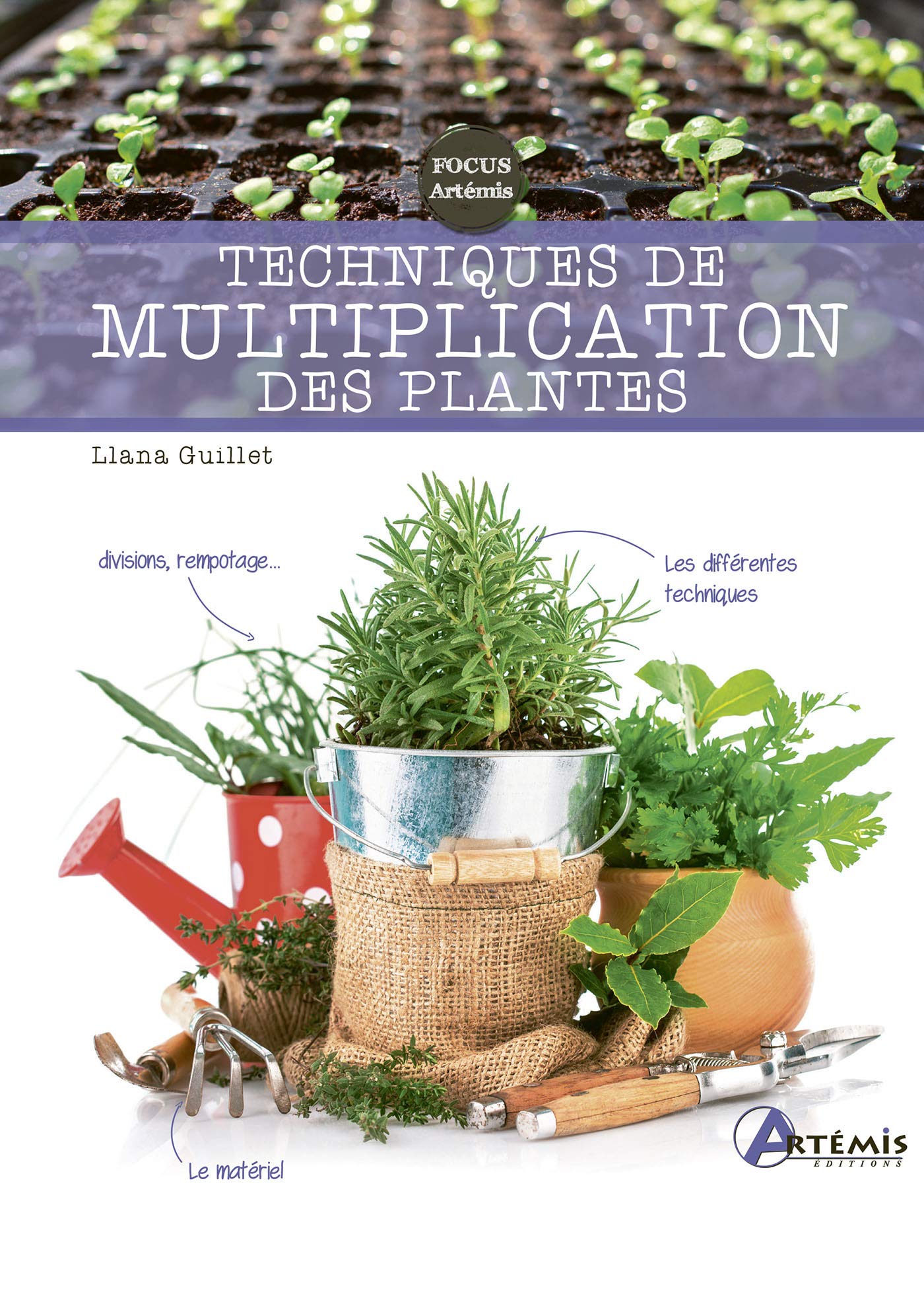 Techniques de multiplication des plantes 9782816015935