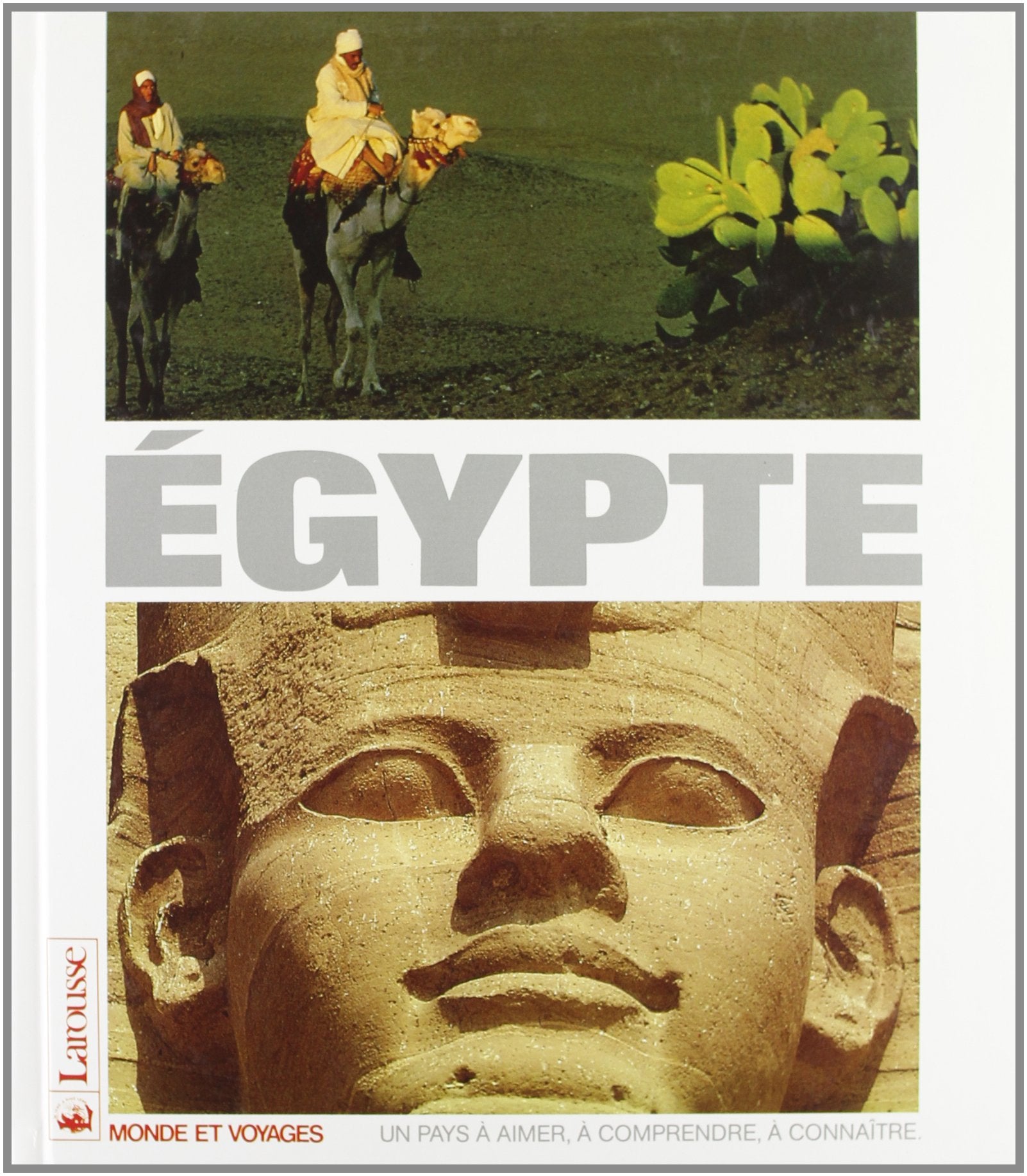 Monde et voyages : Egypte 9782035131416