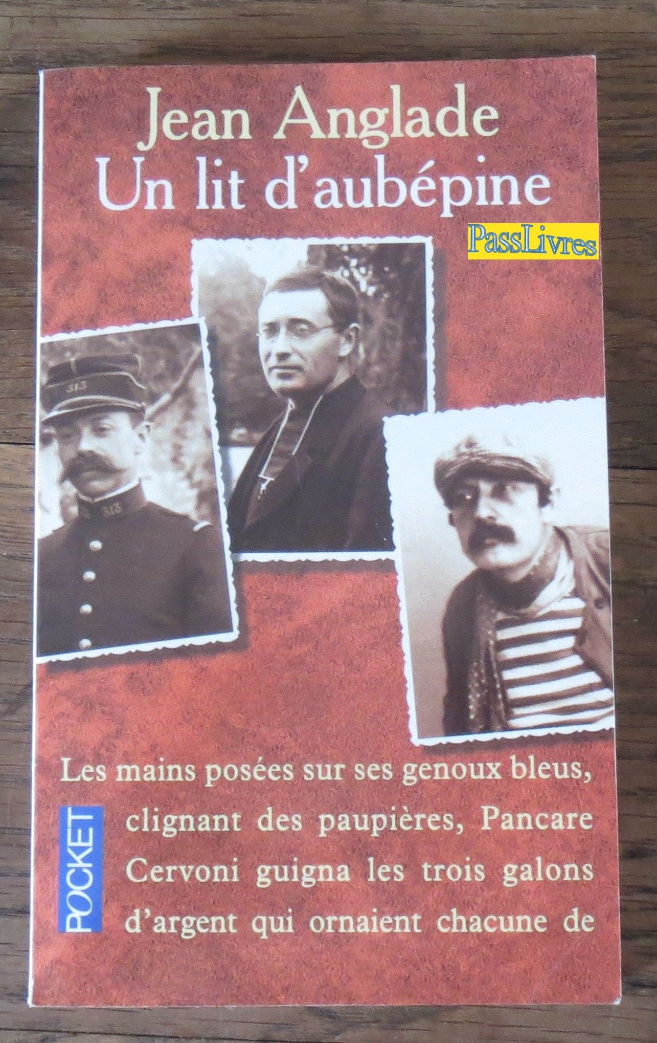 Un lit d'aubépine 9782266073707