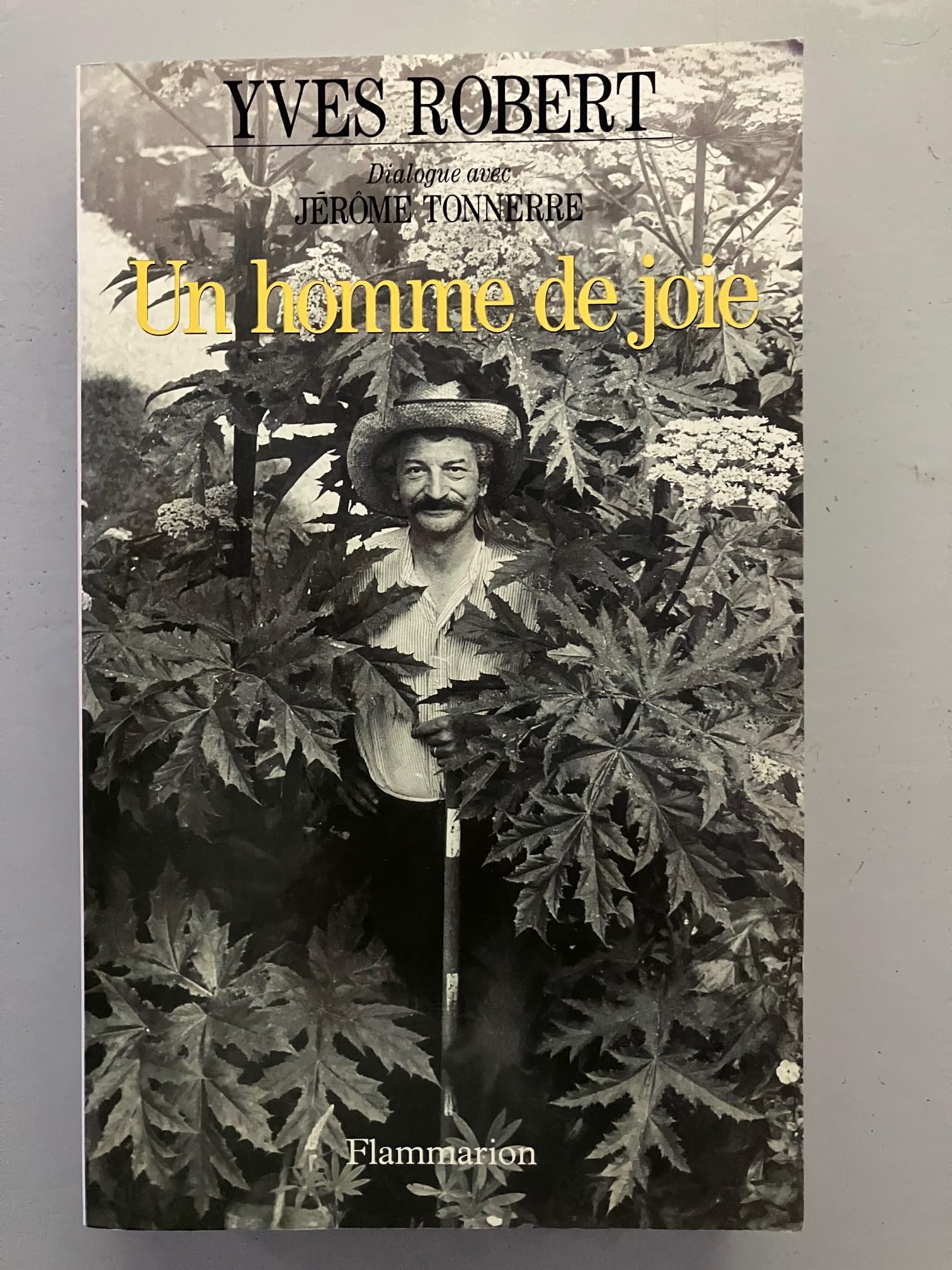 Un homme de joie. Dialogue avec Jérôme Tonnerre 9782080672407