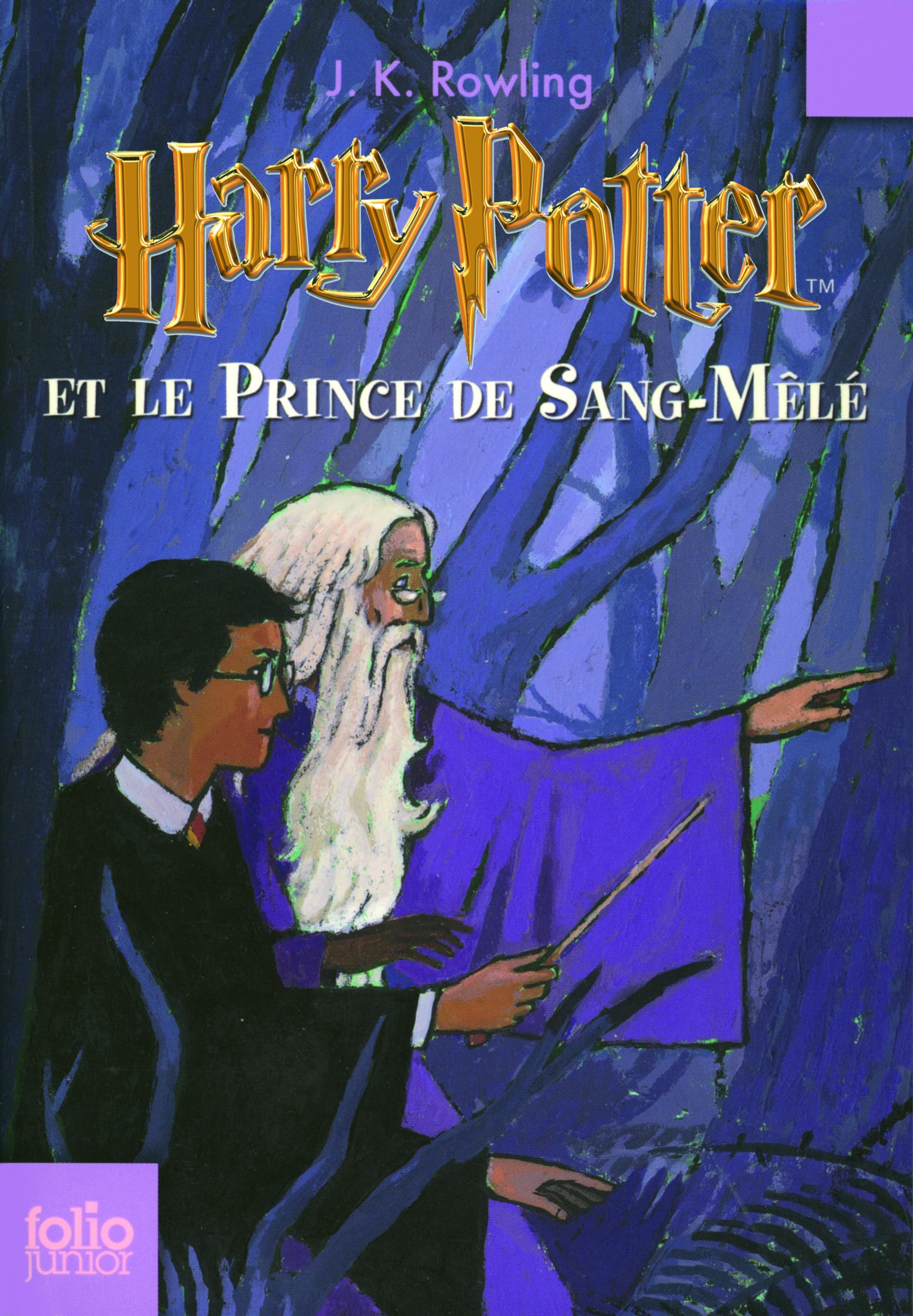 HARRY POTTER ET LE PRINCE DE SANG-MELE 9782070612413