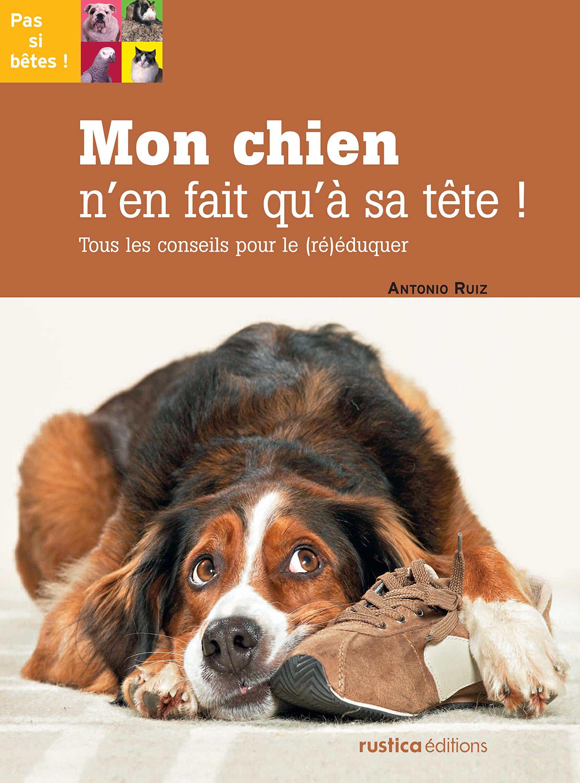 Mon chien n'en fait qu'à sa tête !: Tous les conseils pour le (ré)éduquer 9782815300841