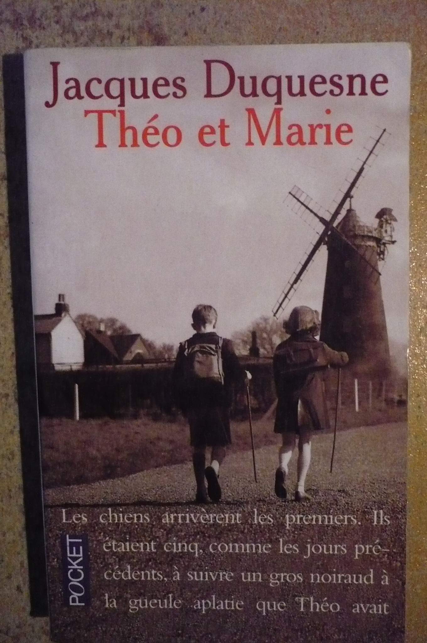 Théo et Marie 9782266075817