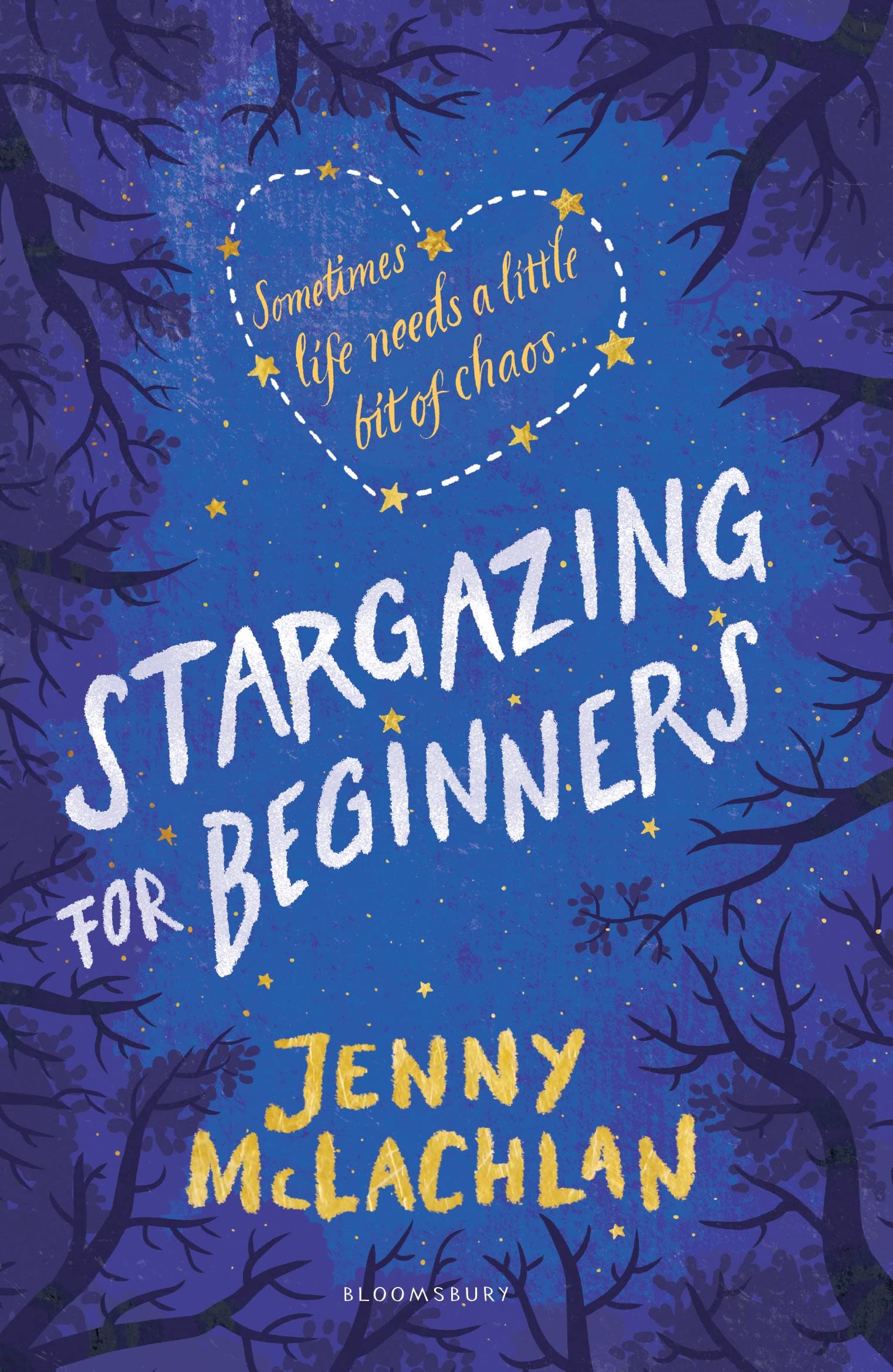 Stargazing for Beginners 9781408879757