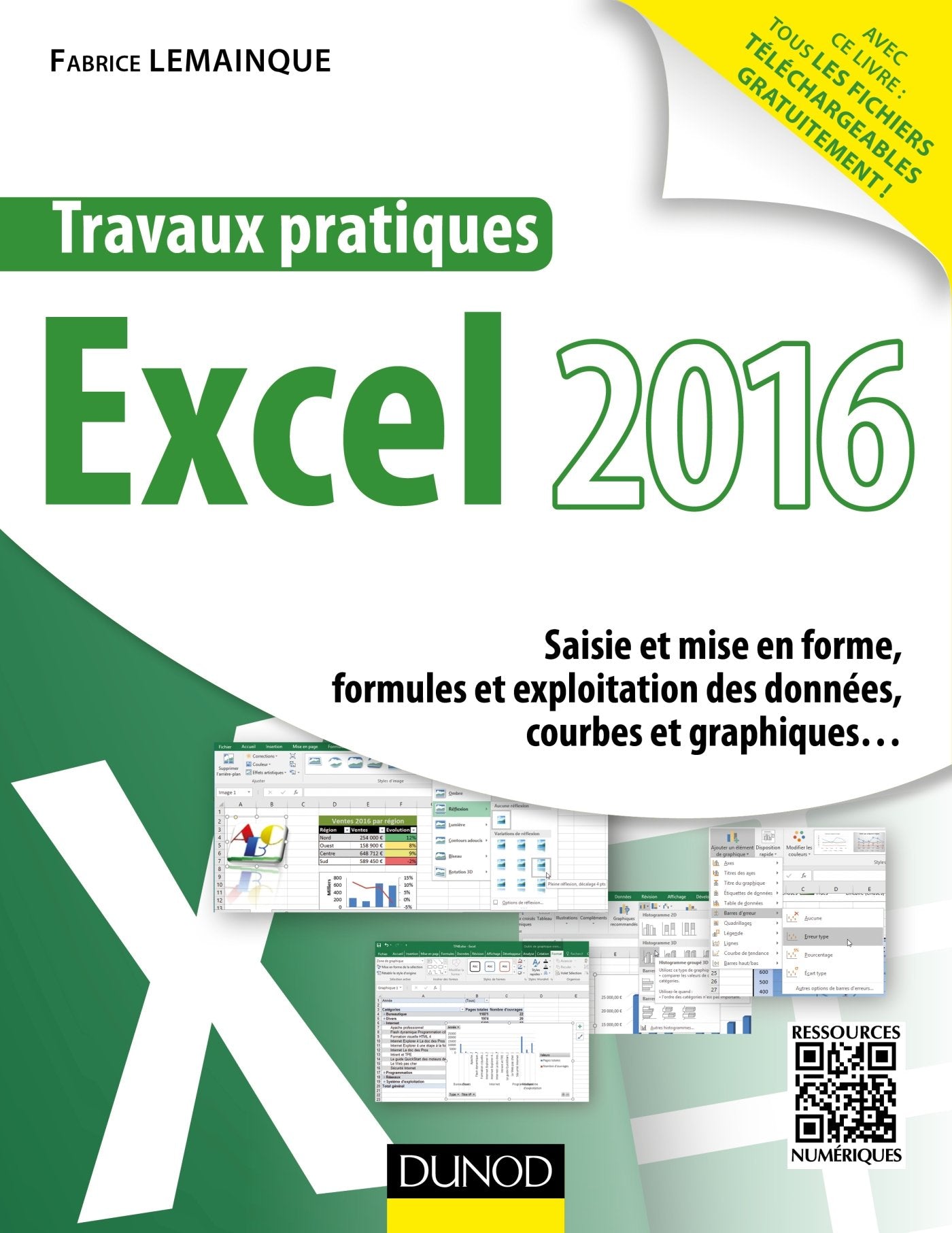 Travaux pratiques avec Excel 2016 - Saisie et mise en forme, formules et exploitation des données...: Saisie et mise en forme, formules et exploitation des données, courbes et graphiques... 9782100738854