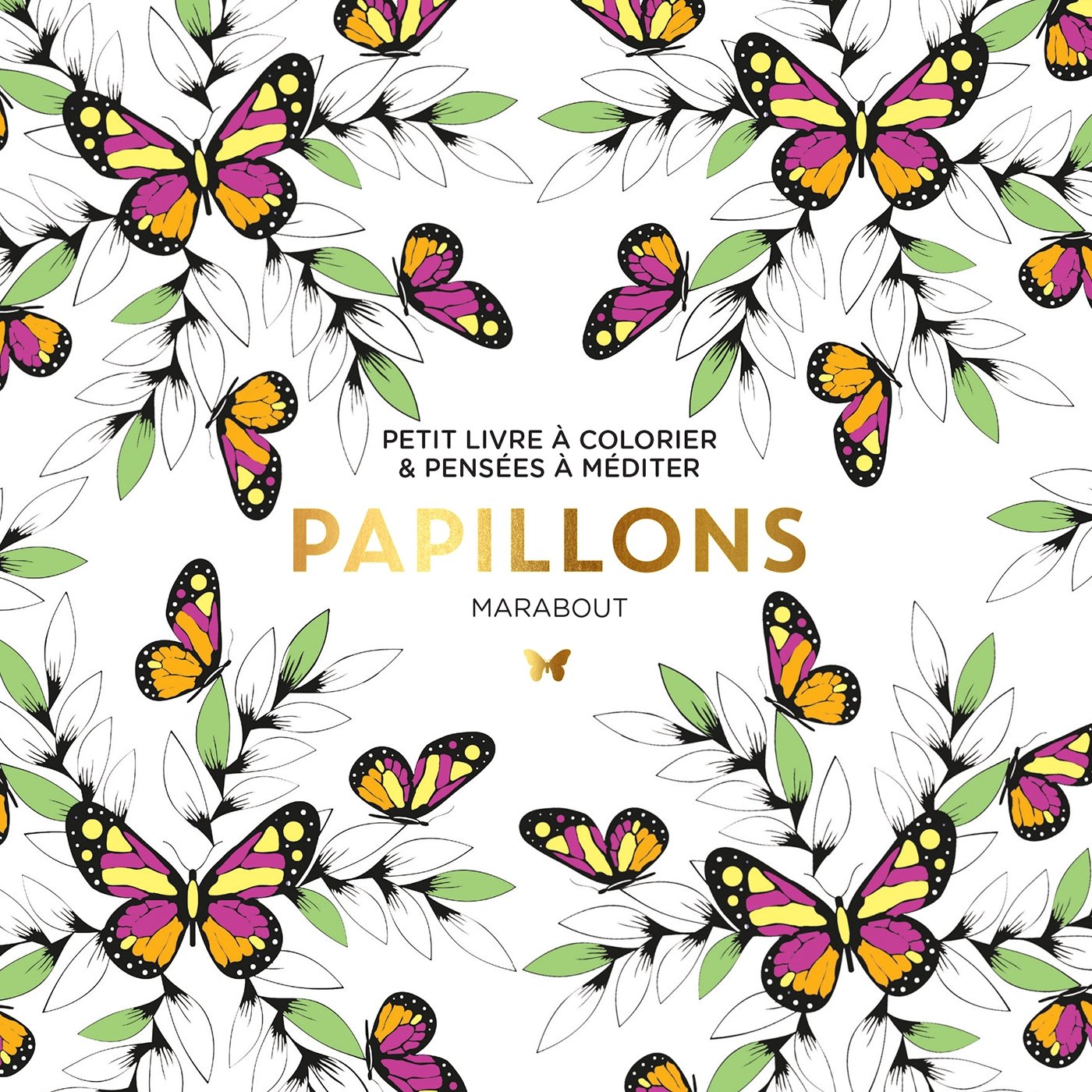 Papillons: Petit livre à colorier & pensées à méditer 9782501112932