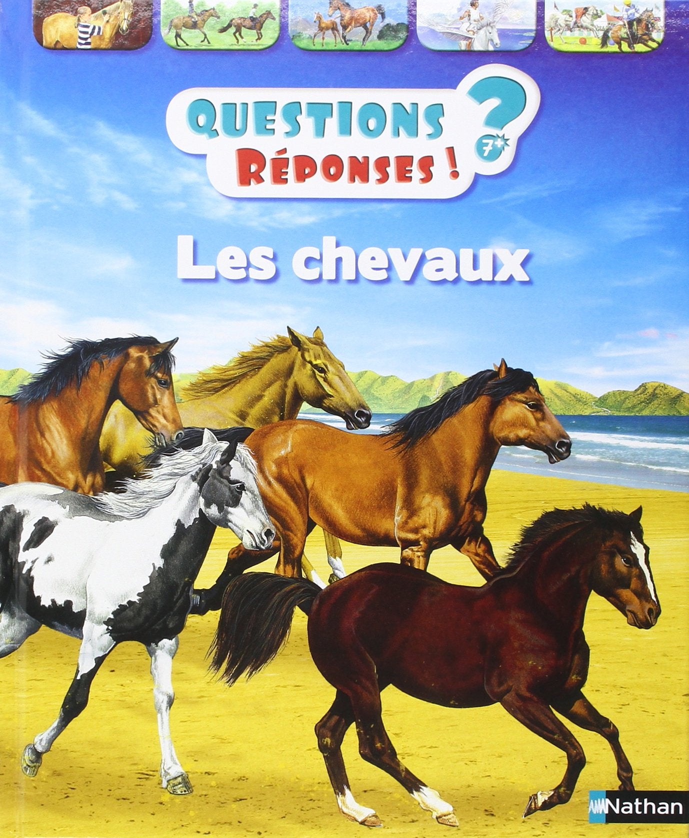 Les chevaux - Questions/Réponses - doc dès 7 ans (1) 9782092551882