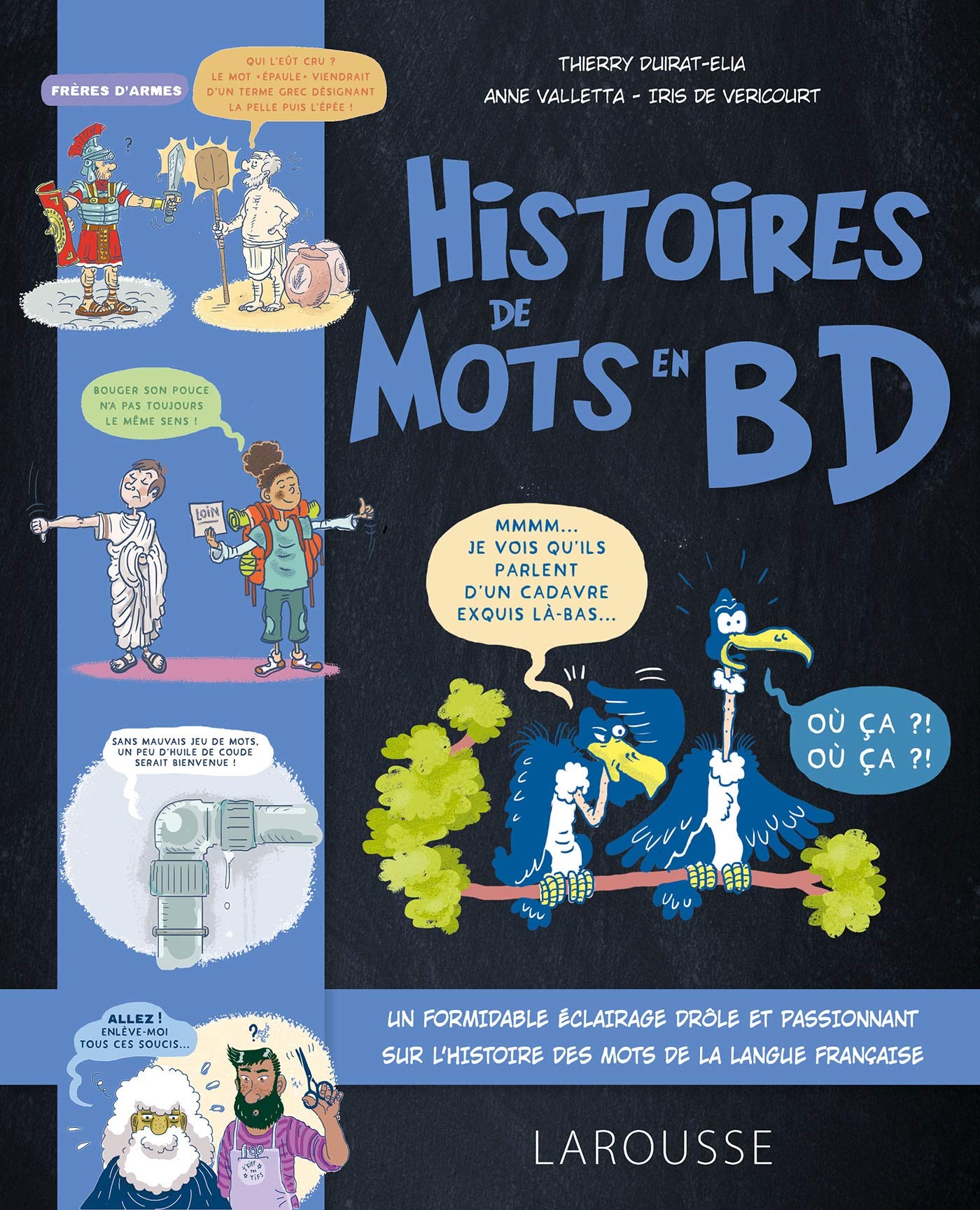 L'Histoire des mots en BD 9782035992802