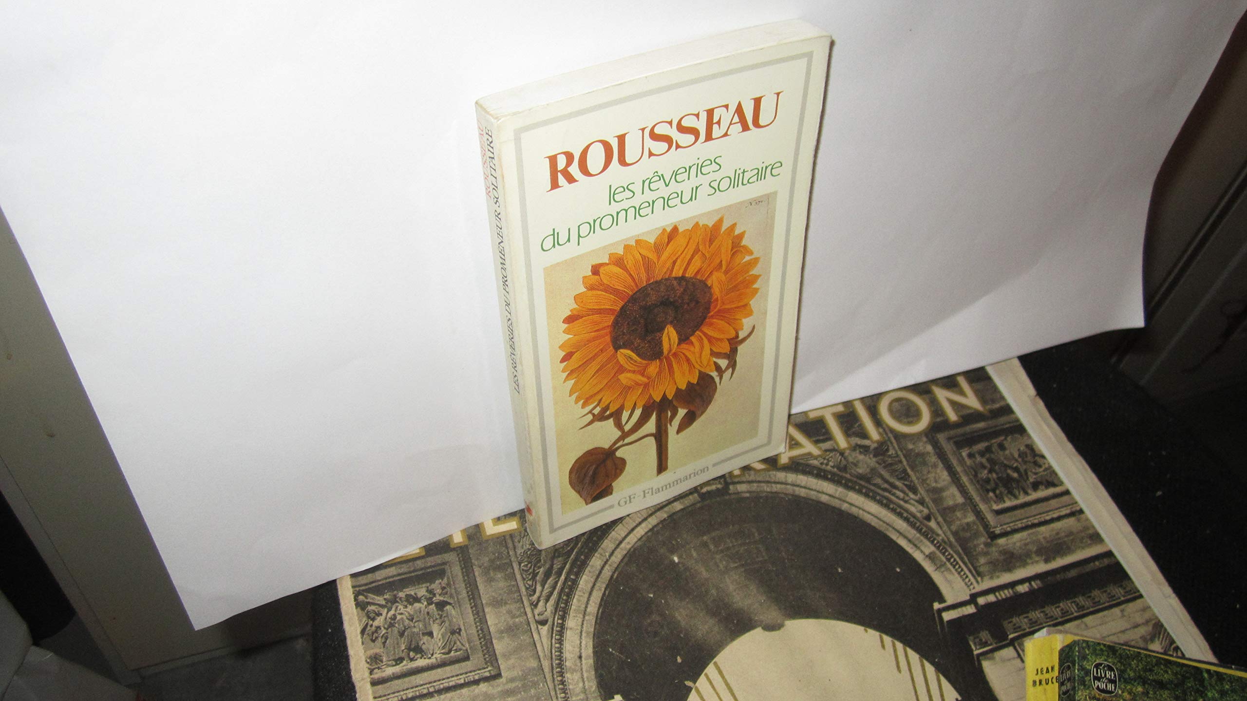 Les rêveries du promeneur solitaire 9782080700230