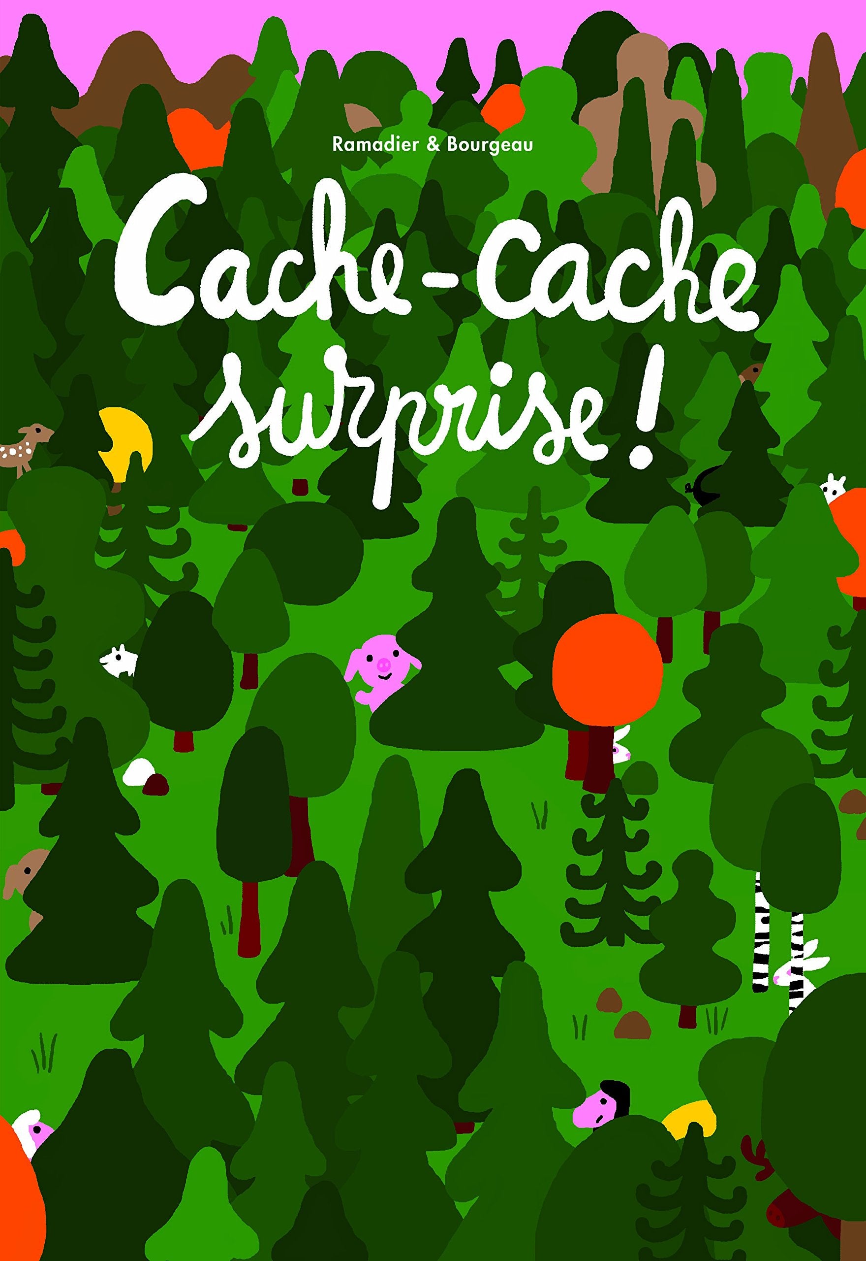 cache-cache surprise 9782211238519