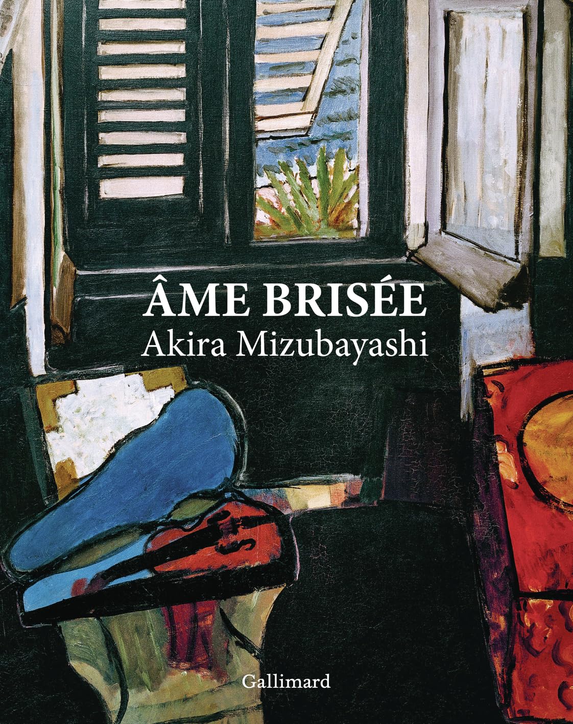 Âme brisée: Édition illustrée 9782073110091