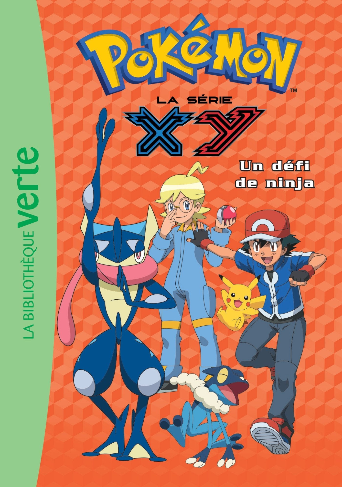 Pokémon 23 - Un défi de ninja 9782012317291