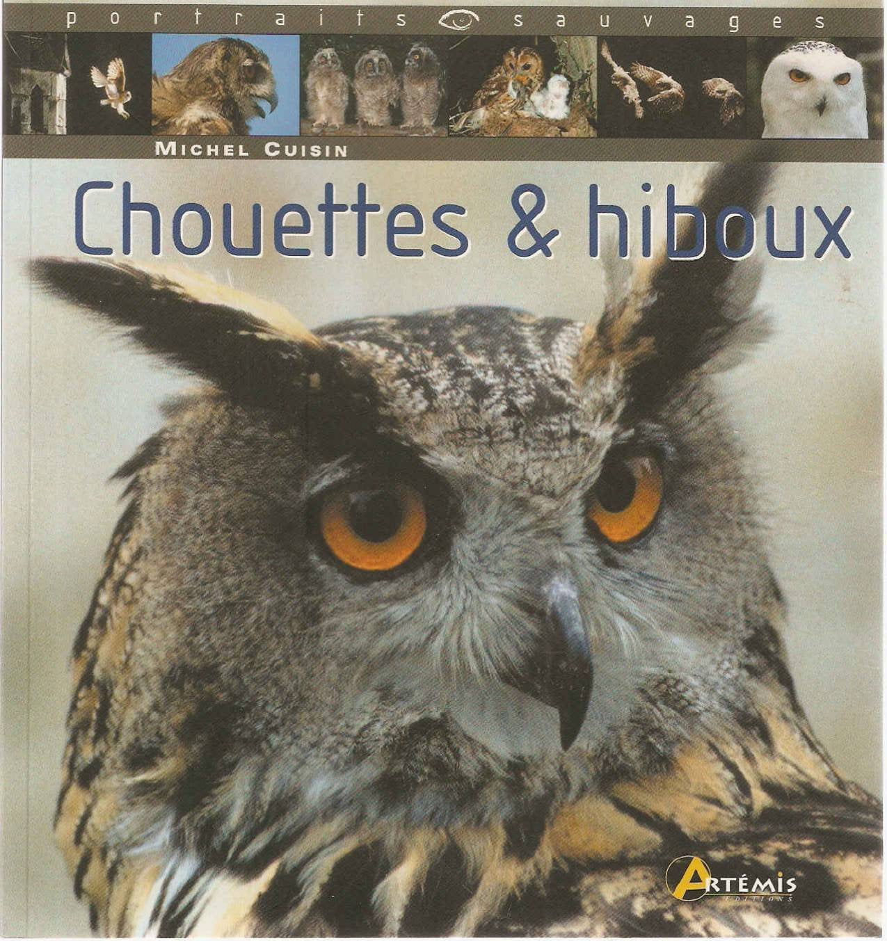 Chouettes & hiboux 9782844163110