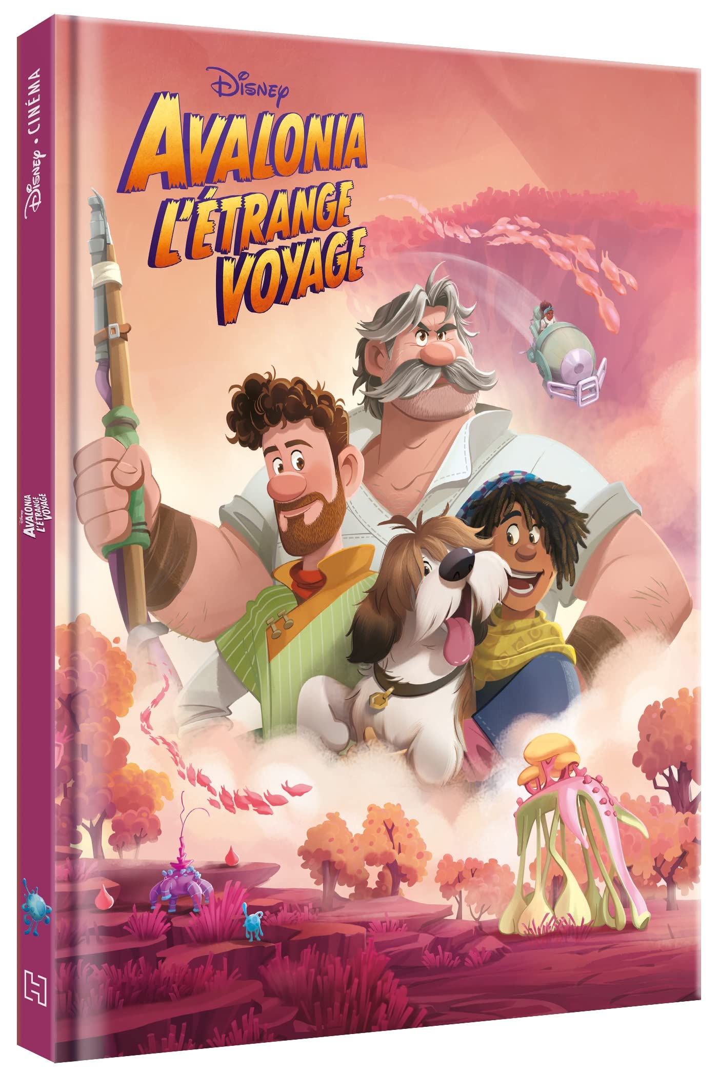 AVALONIA, L'ETRANGE VOYAGE - Disney Cinéma - L'histoire du film 9782017177135