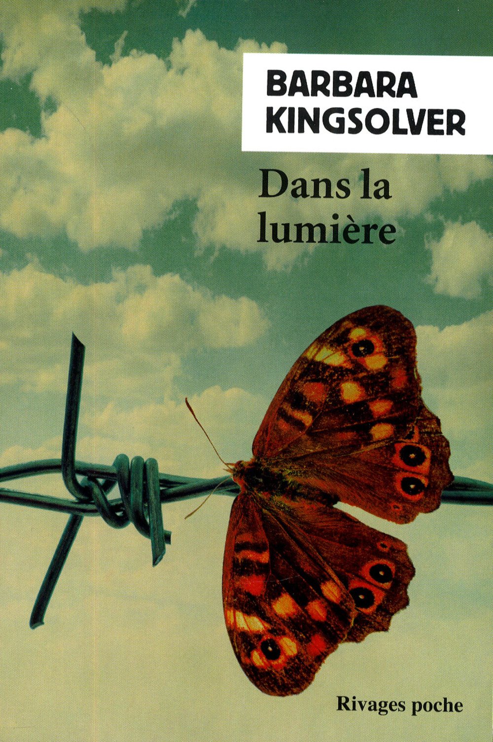 Dans la lumière 9782743628901