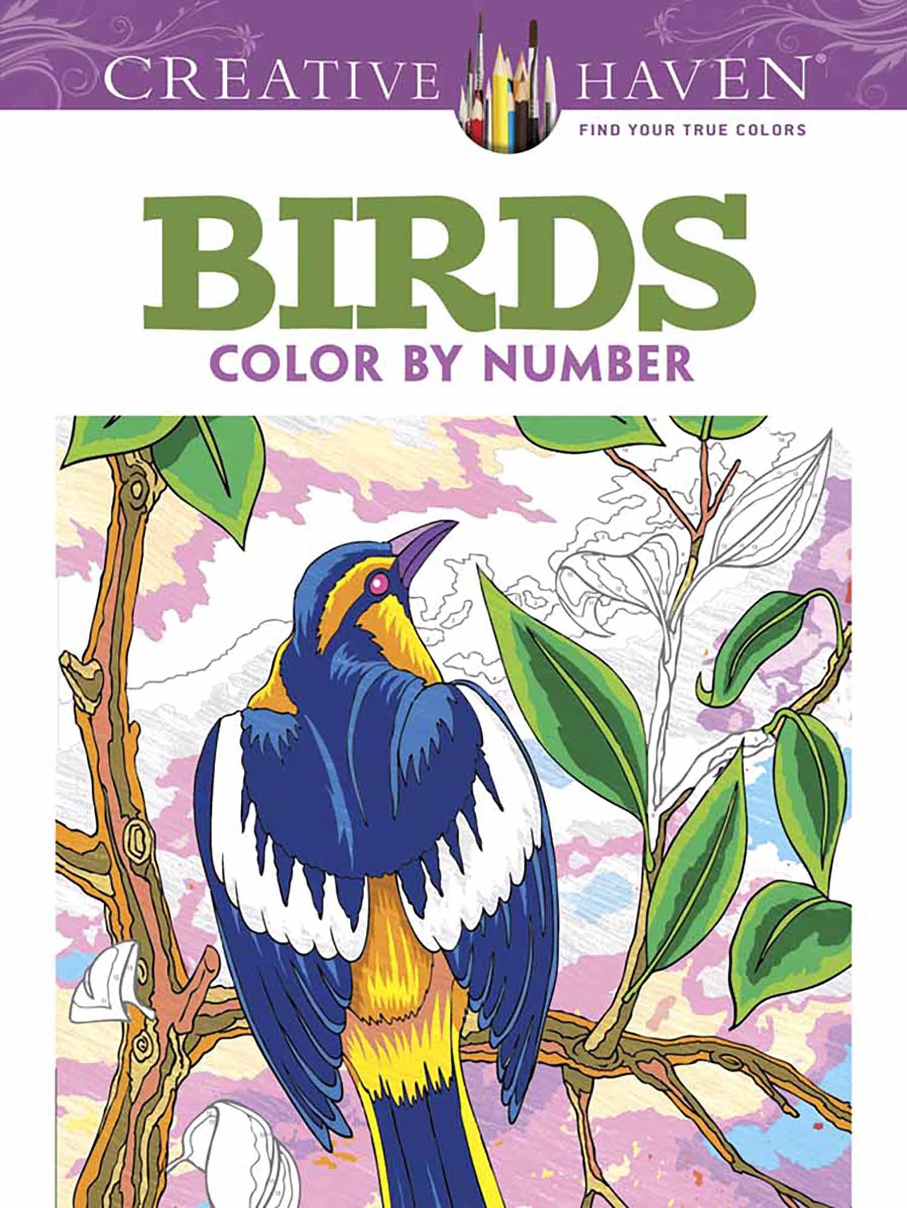 Birds Color by Number Coloring Book 9780486798578