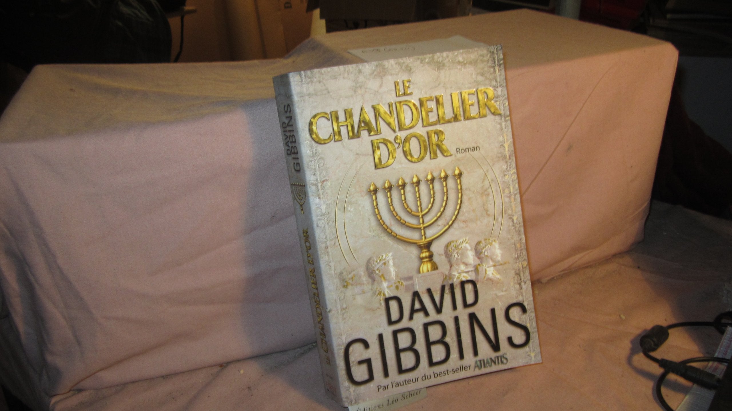 Le chandelier d'or 9782754002622