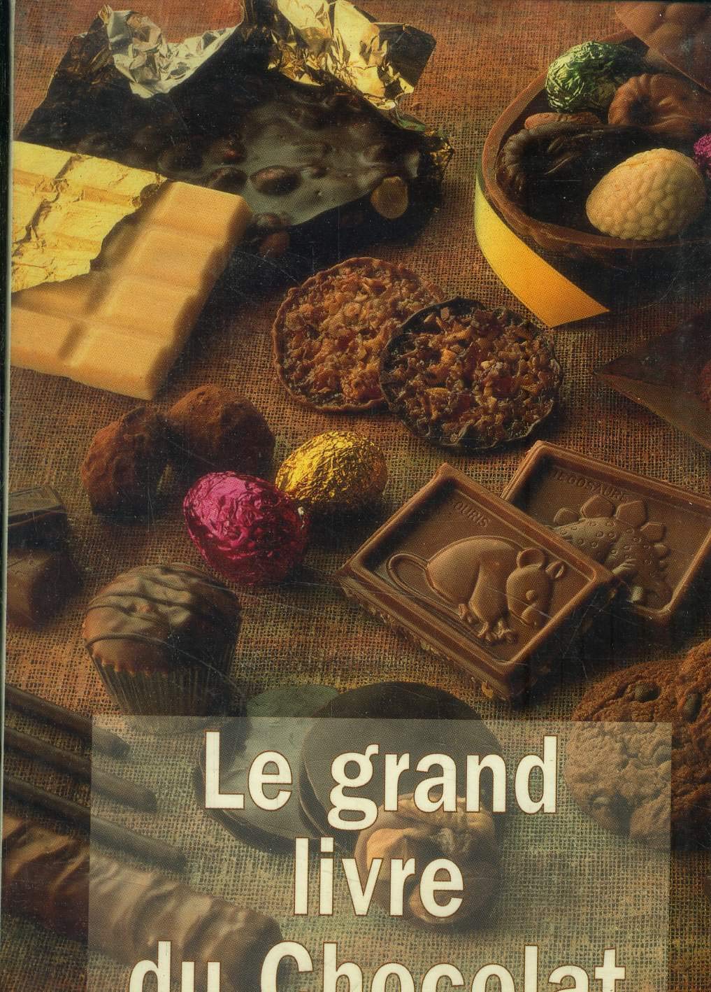 Le grand livre du chocolat 9782702813133