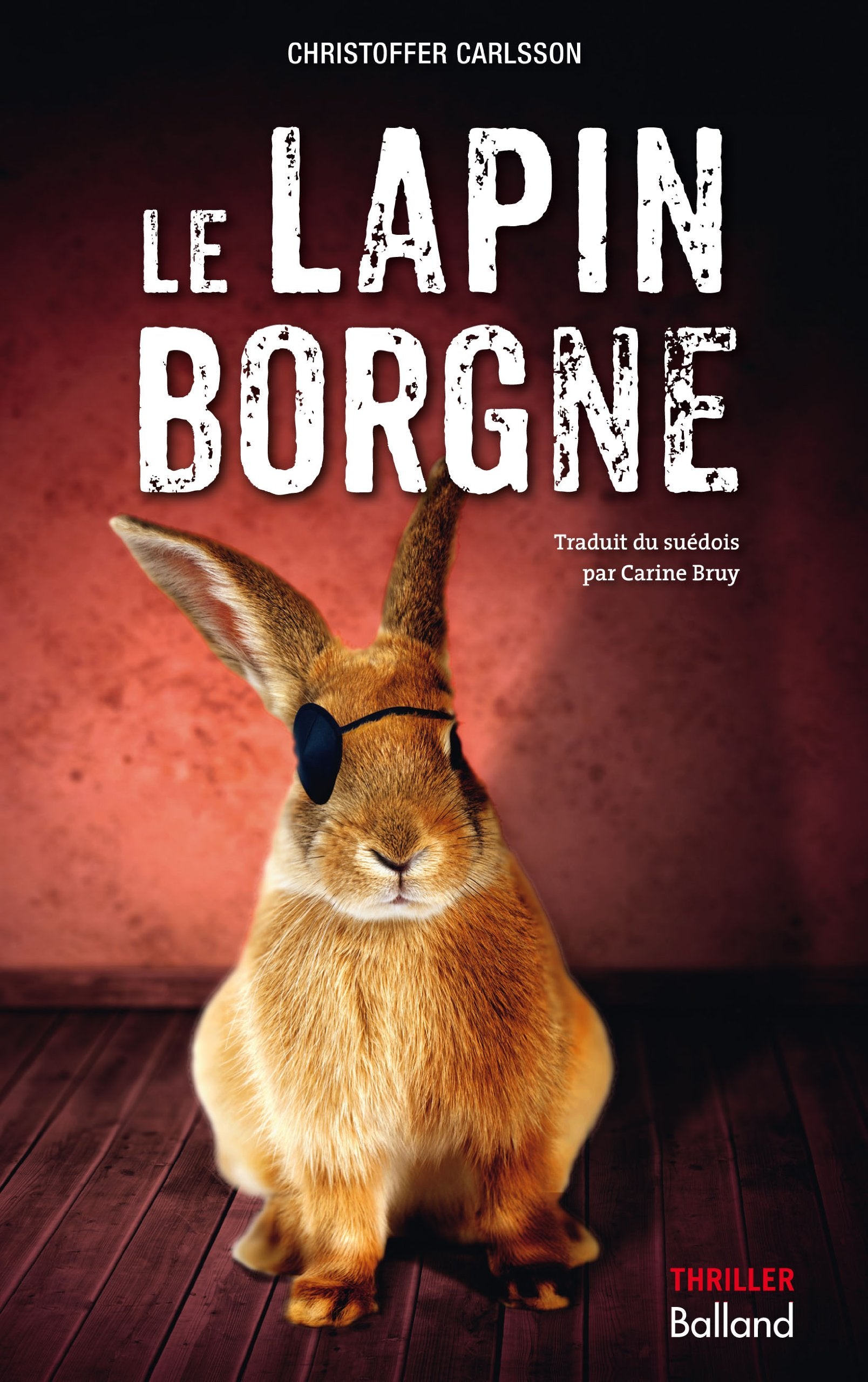 Le lapin borgne 9782353152179