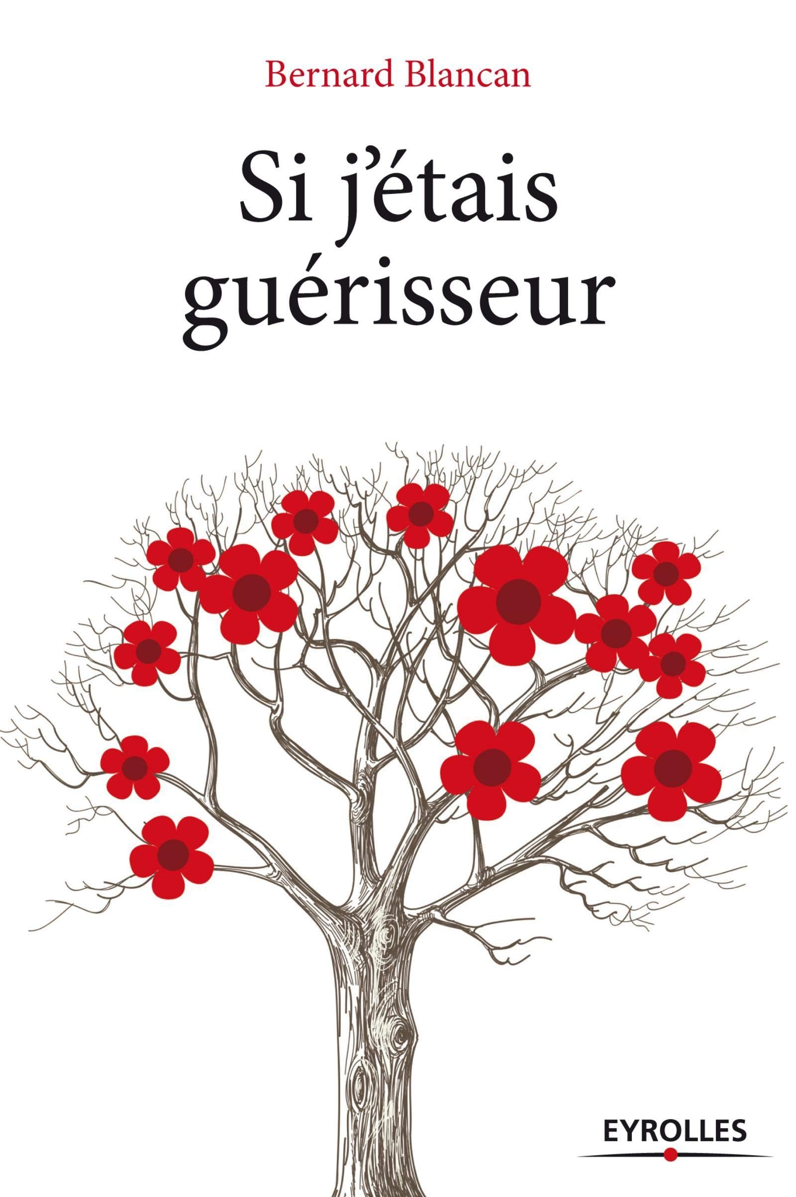 SI J ETAIS GUERISSEUR 9782212139334