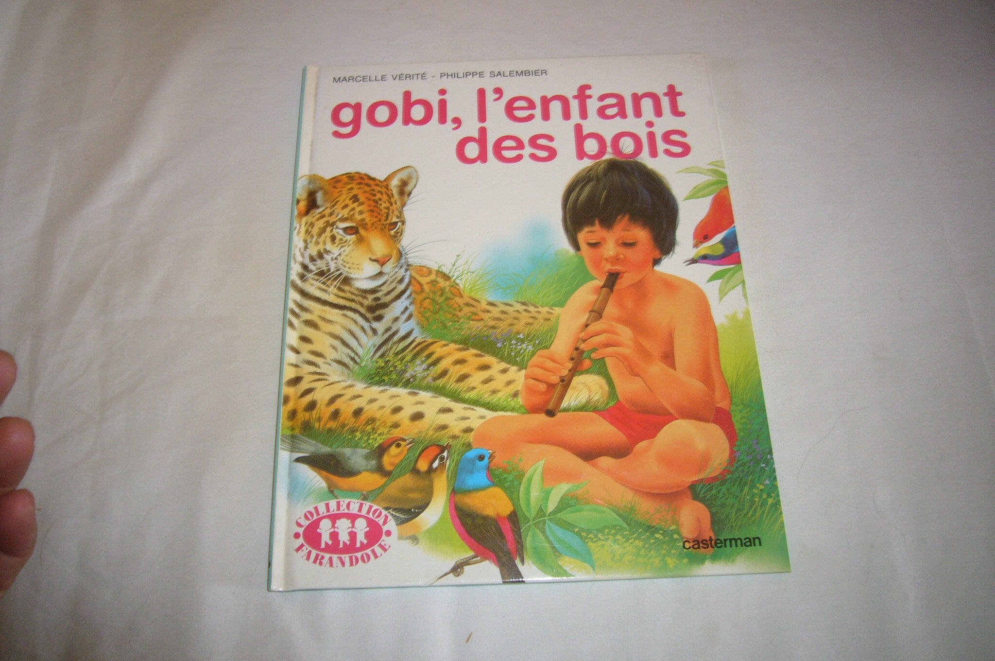 Gobi, l'enfant des bois (livre souple) 9782203105331