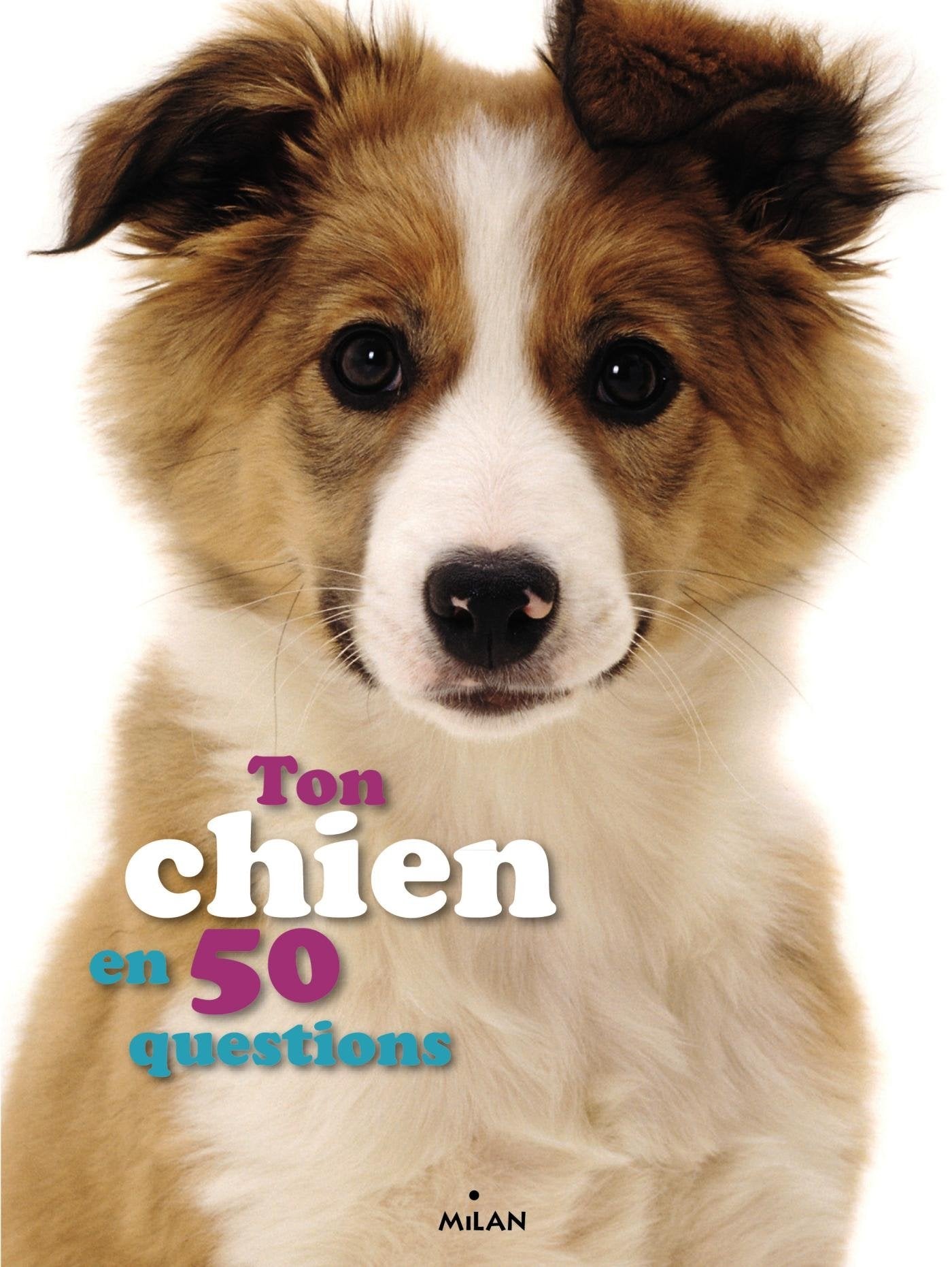 Ton chien en 50 questions 9782745967626