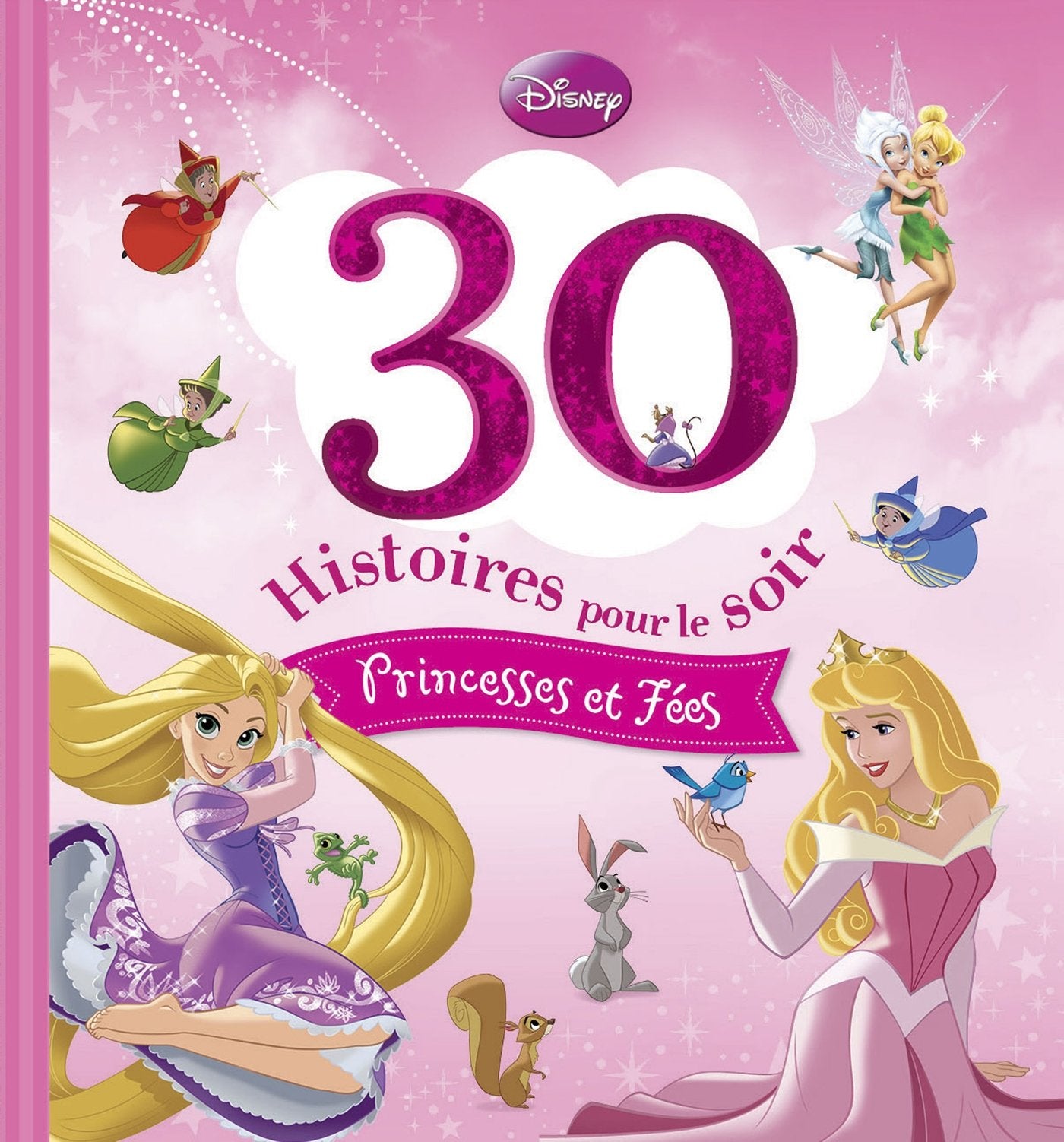 Spécial Princesses 9782014008364