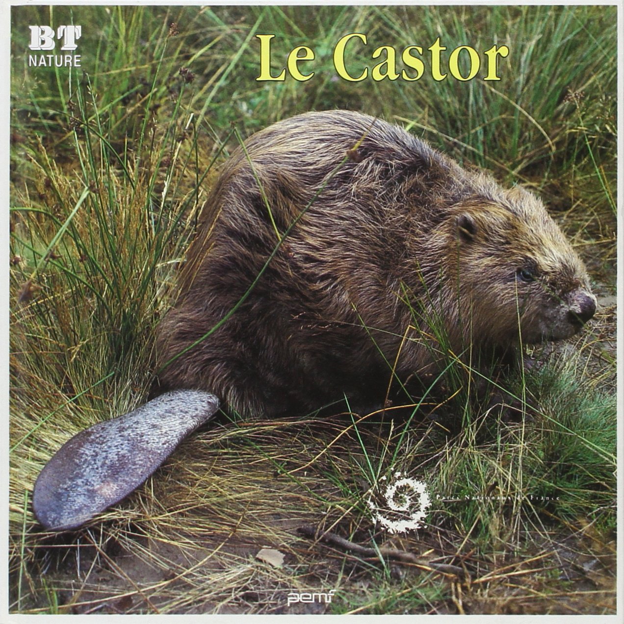 Le Castor en Cévennes 9782877853156