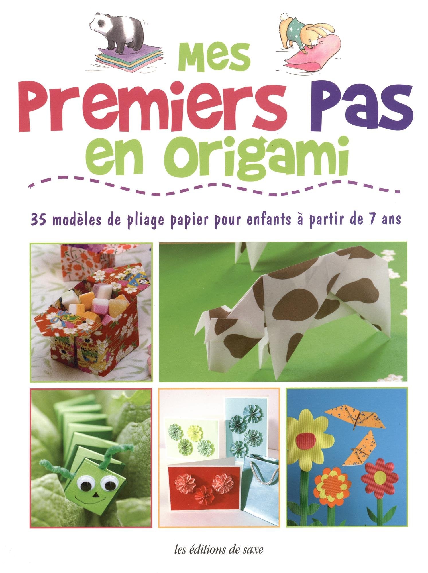 MES PREMIERS PAS EN ORIGAMI 9782756528748