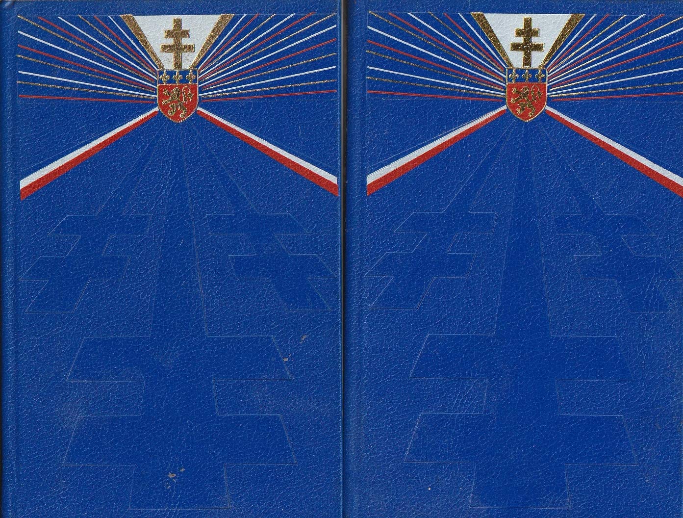 La résistance dans le lyonnais, tomes I et II 