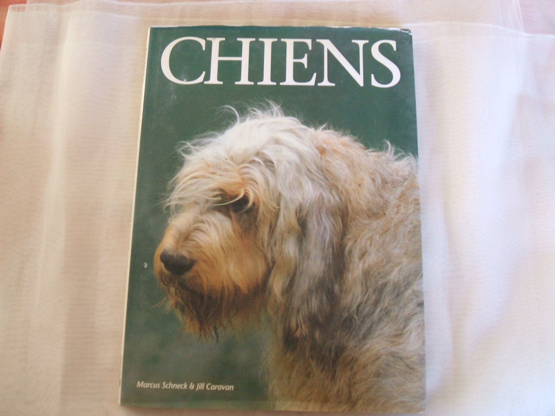 chiens - portraits du monde animal 9782876285828