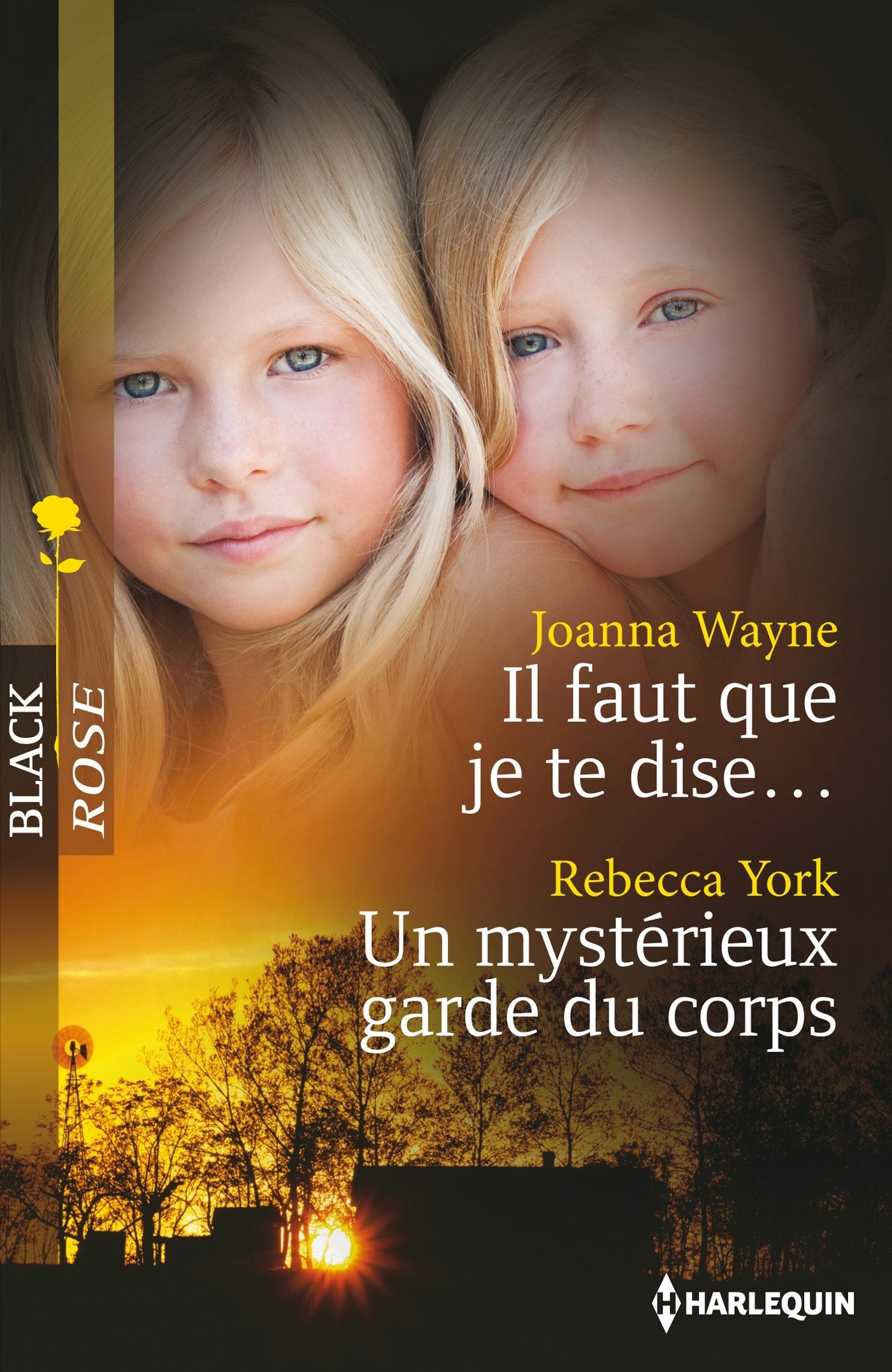 Il faut que je te dise ; Un mystérieux garde du corps 9782280308298