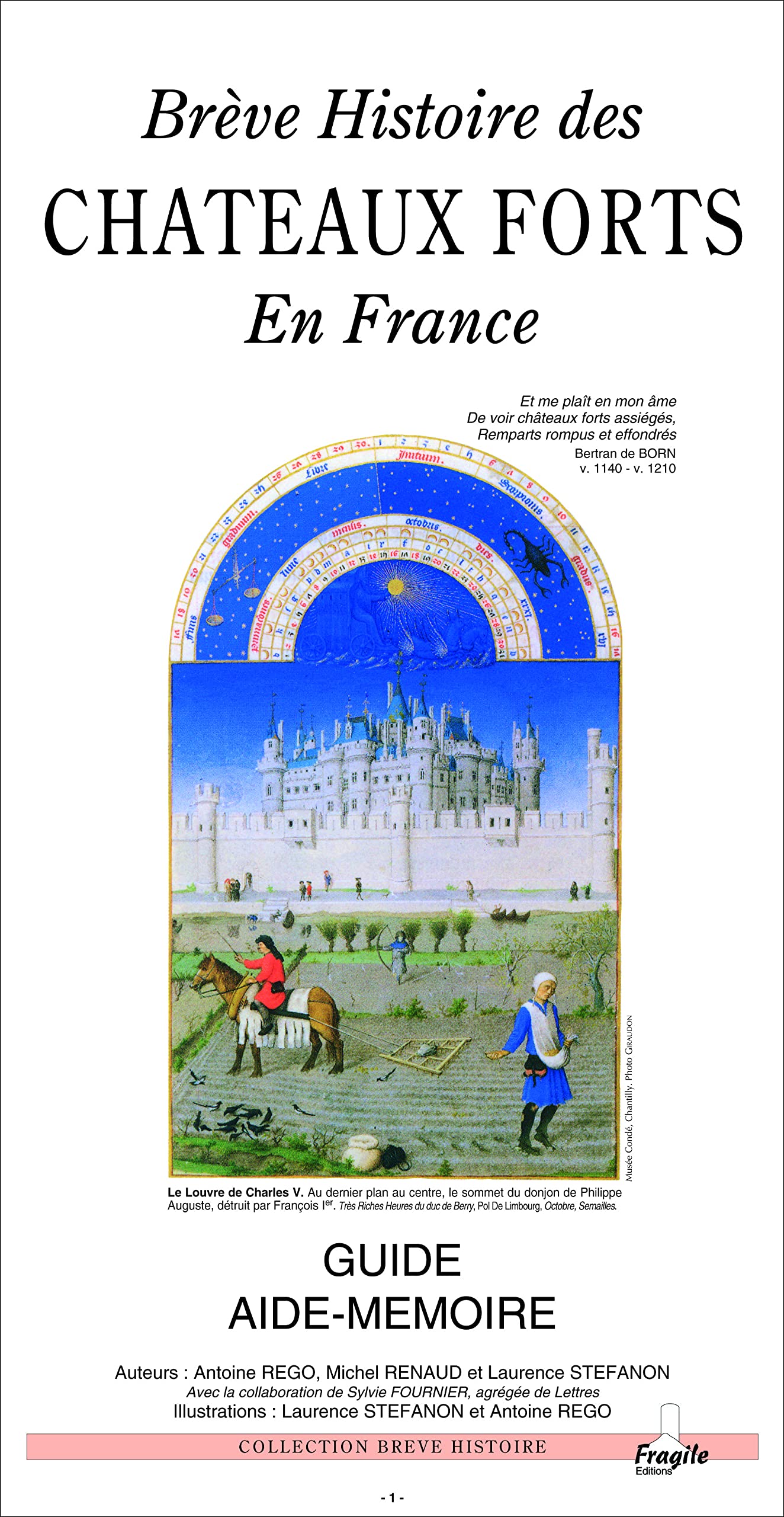 Les Châteaux-forts en France 9782910685034