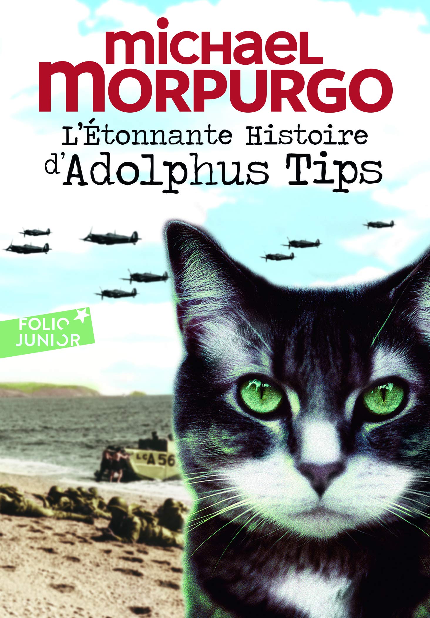 L'ETONNANTE HISTOIRE D'ADOLPHUS TIPS 9782070624461