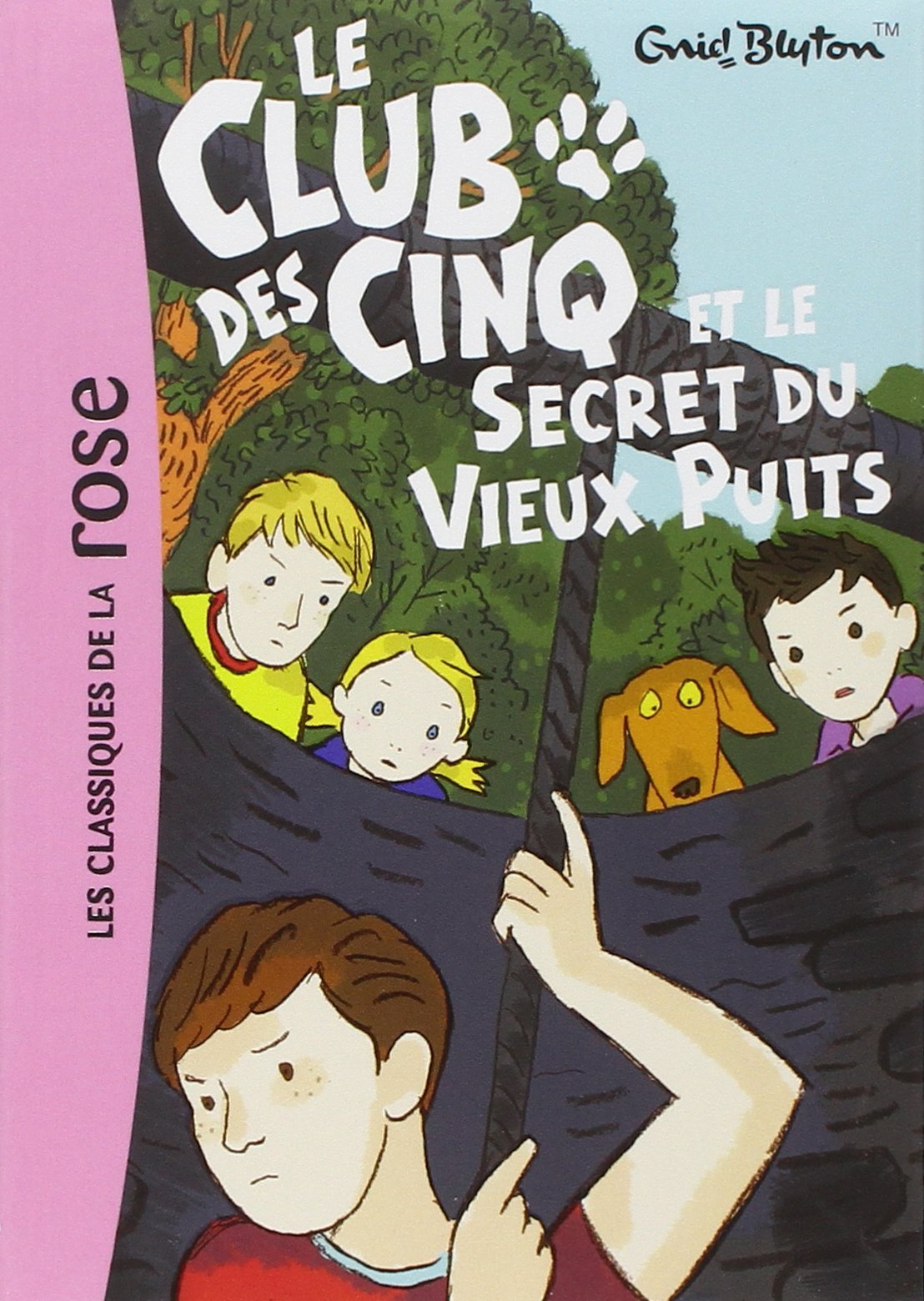 Le Club des Cinq 20 - Le Club des Cinq et le secret du vieux puits 9782012019874